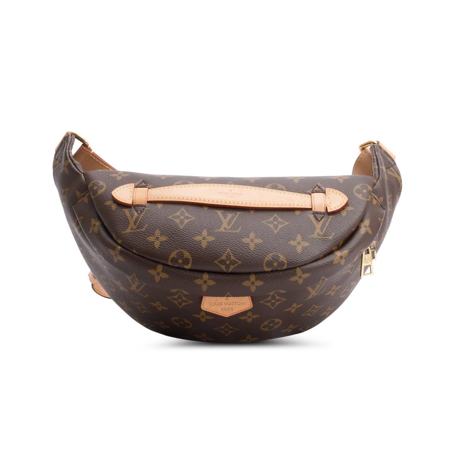 Louis Vuitton 2020 Monogram Bumbag