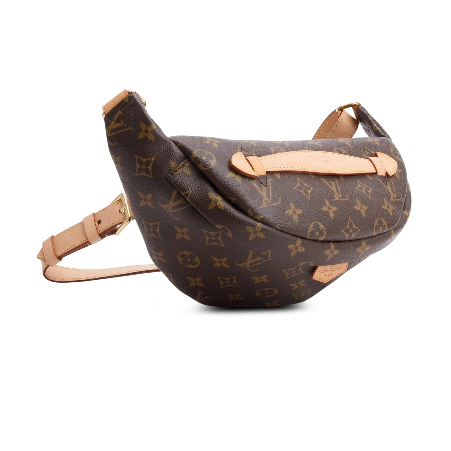 Louis Vuitton 2020 Monogram Bumbag