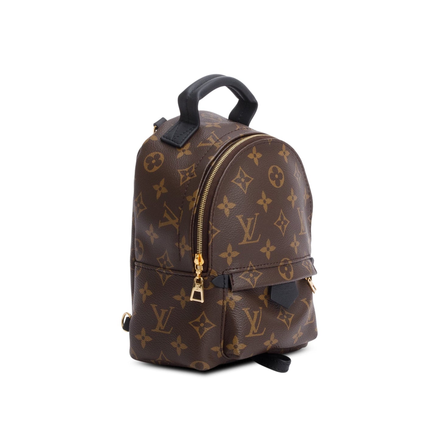 Louis Vuitton Monogram Palm Springs Mini Backpack