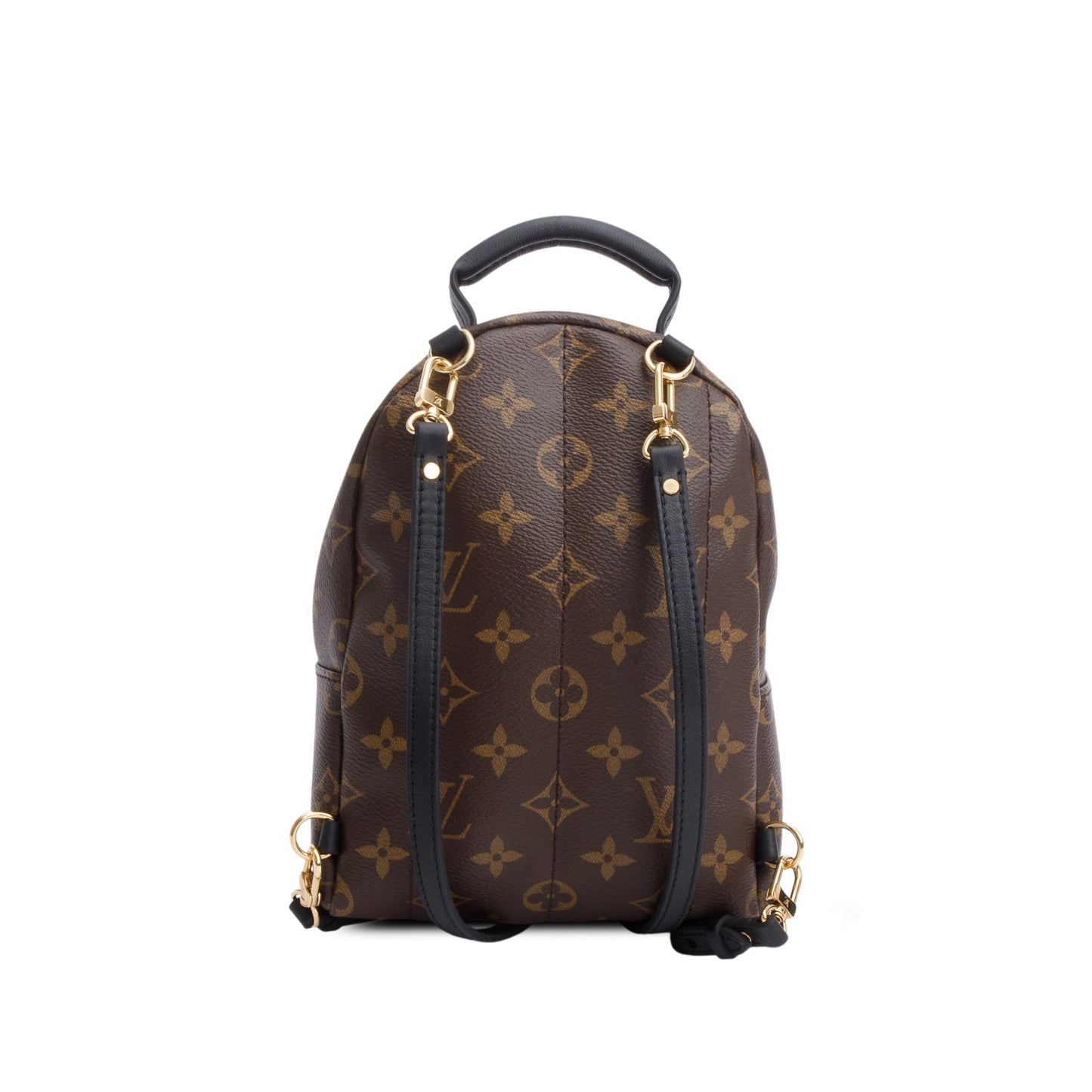 Louis Vuitton Monogram Palm Springs Mini Backpack