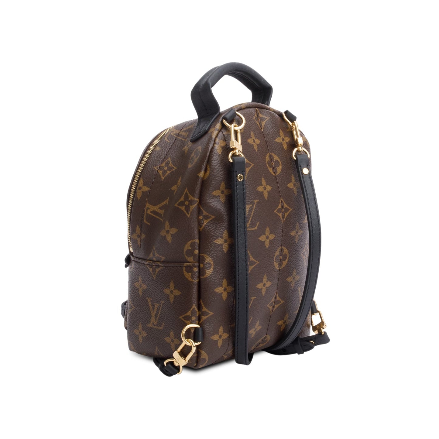 Louis Vuitton Monogram Palm Springs Mini Backpack