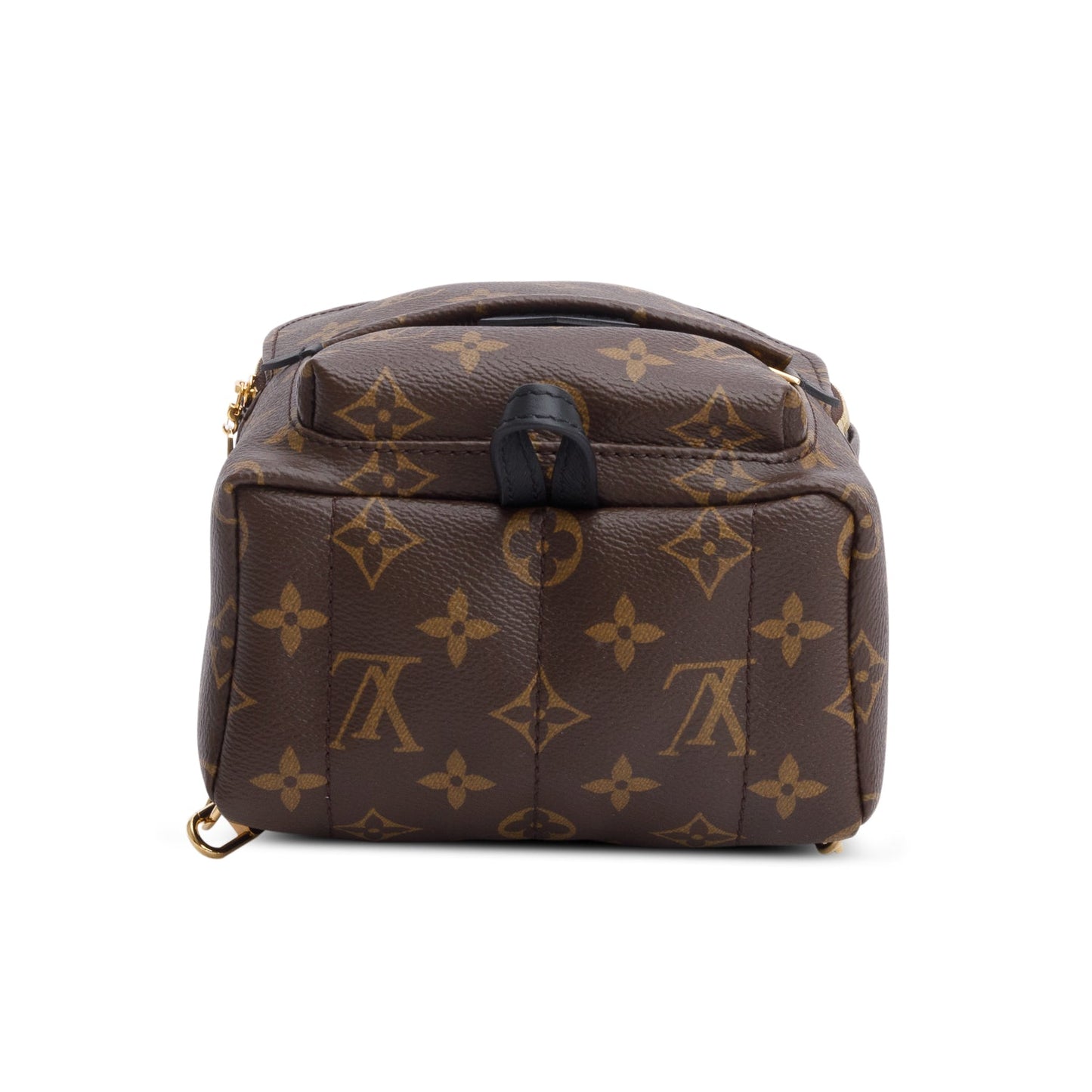 Louis Vuitton Monogram Palm Springs Mini Backpack