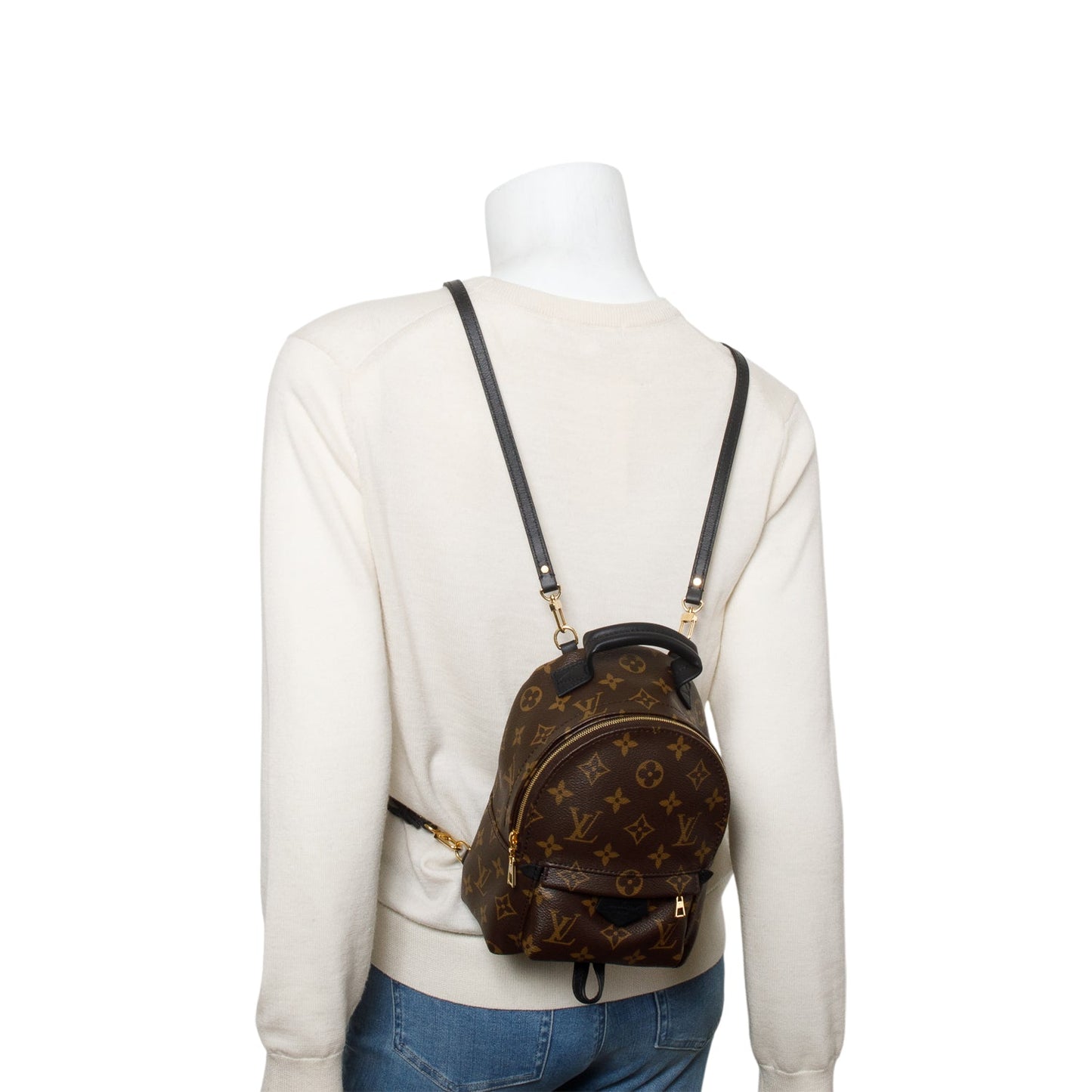 Louis Vuitton Monogram Palm Springs Mini Backpack