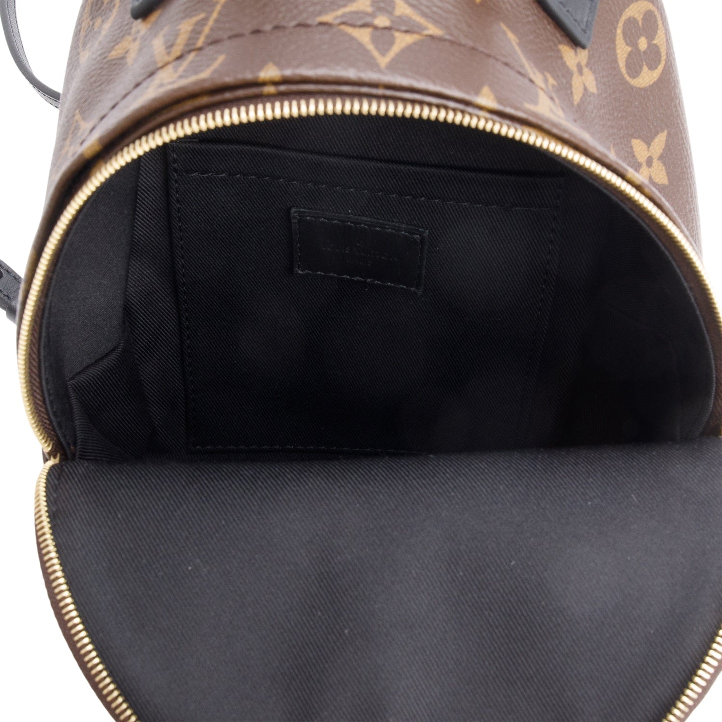 Louis Vuitton Monogram Palm Springs Mini Backpack