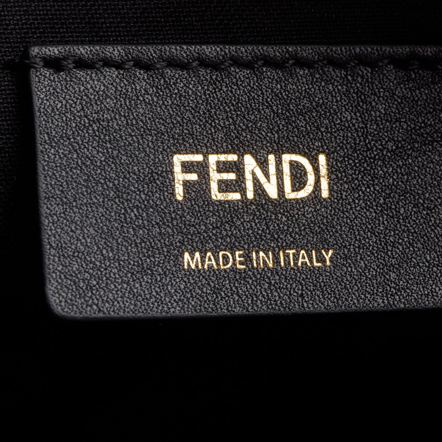 Fendi 2024 Black Vitello Grace Leather Mini Fendigraphy Hobo Bag