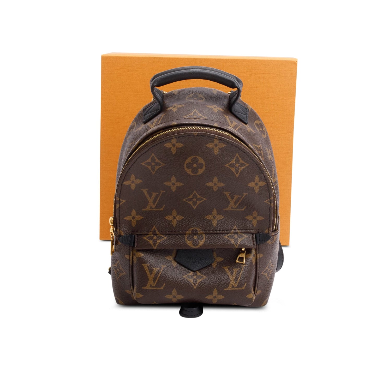 Louis Vuitton 2022 Monogram Palm Springs Mini Backpack