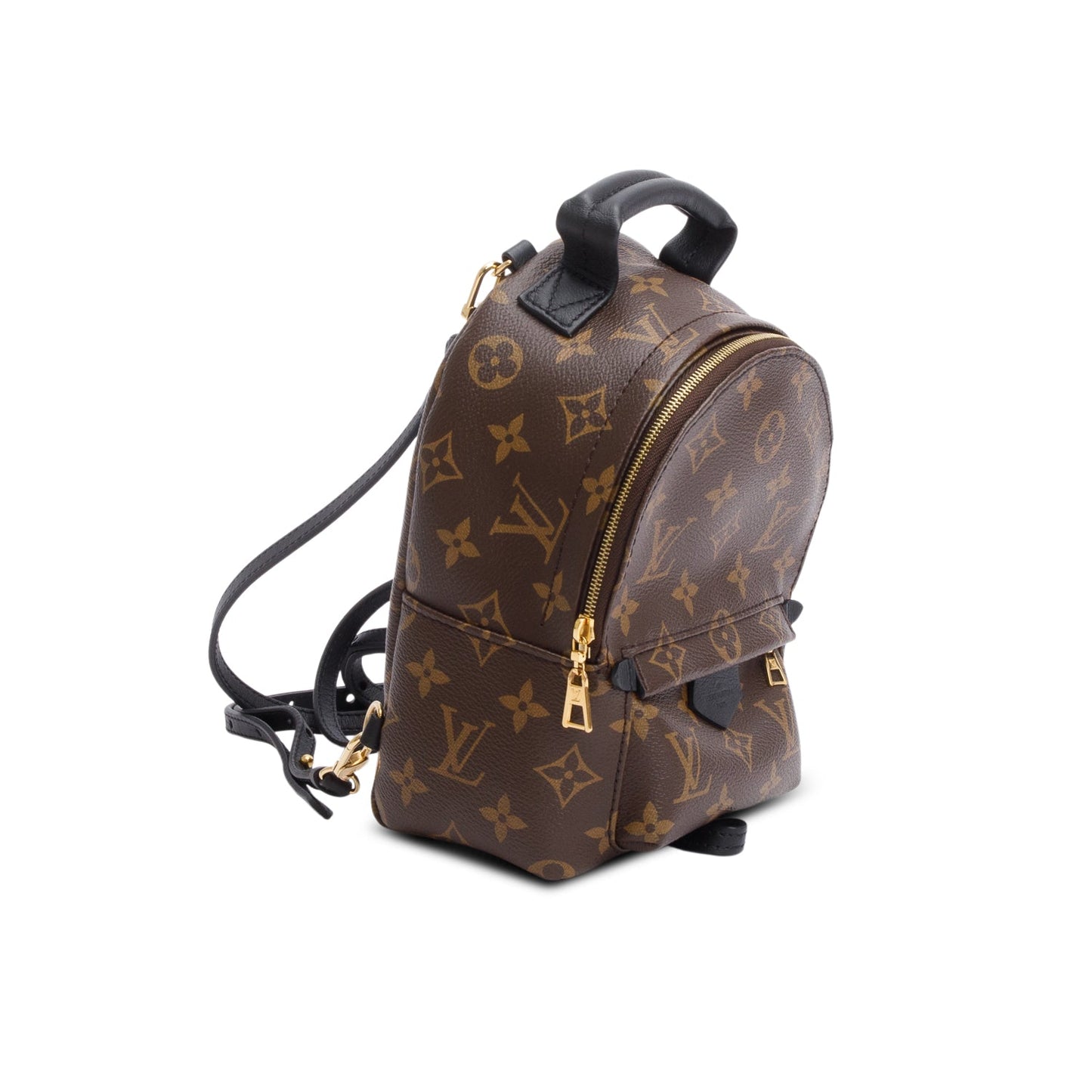 Louis Vuitton 2022 Monogram Palm Springs Mini Backpack