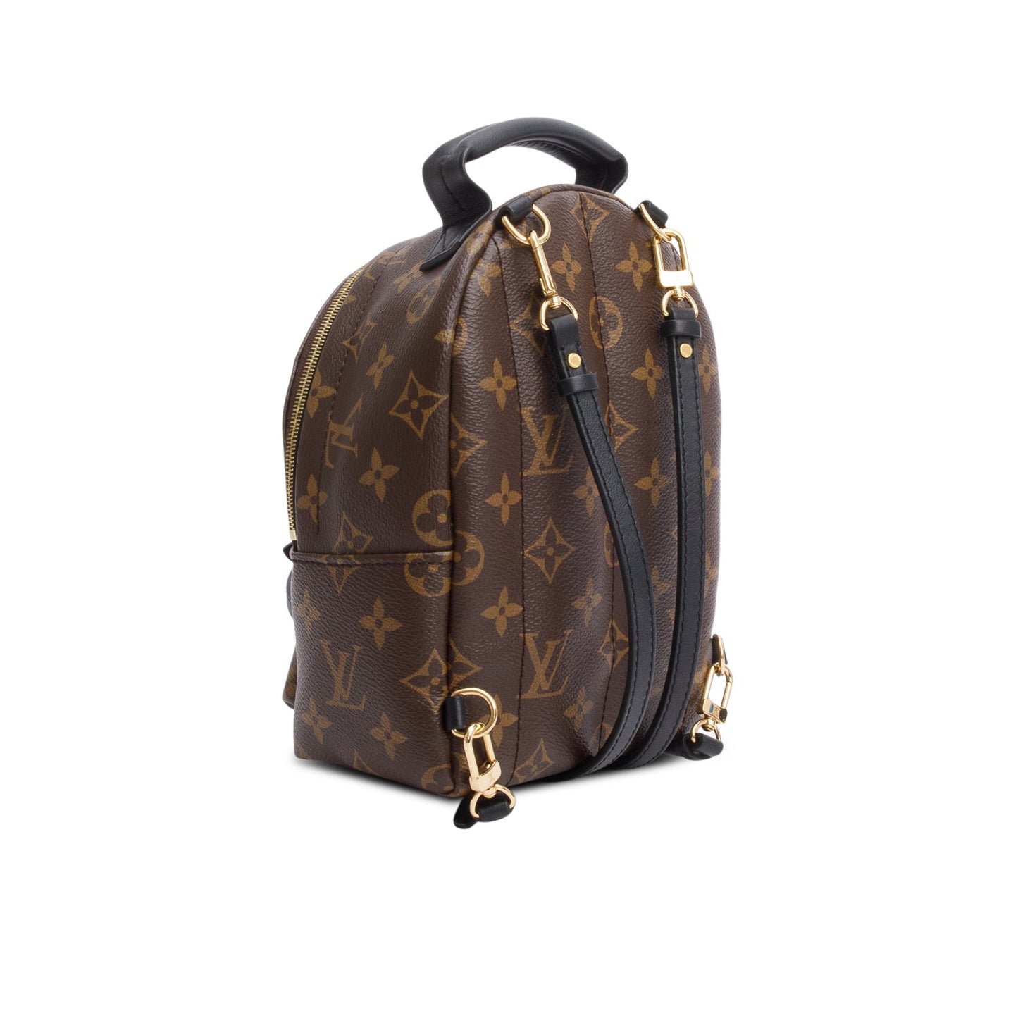Louis Vuitton 2022 Monogram Palm Springs Mini Backpack