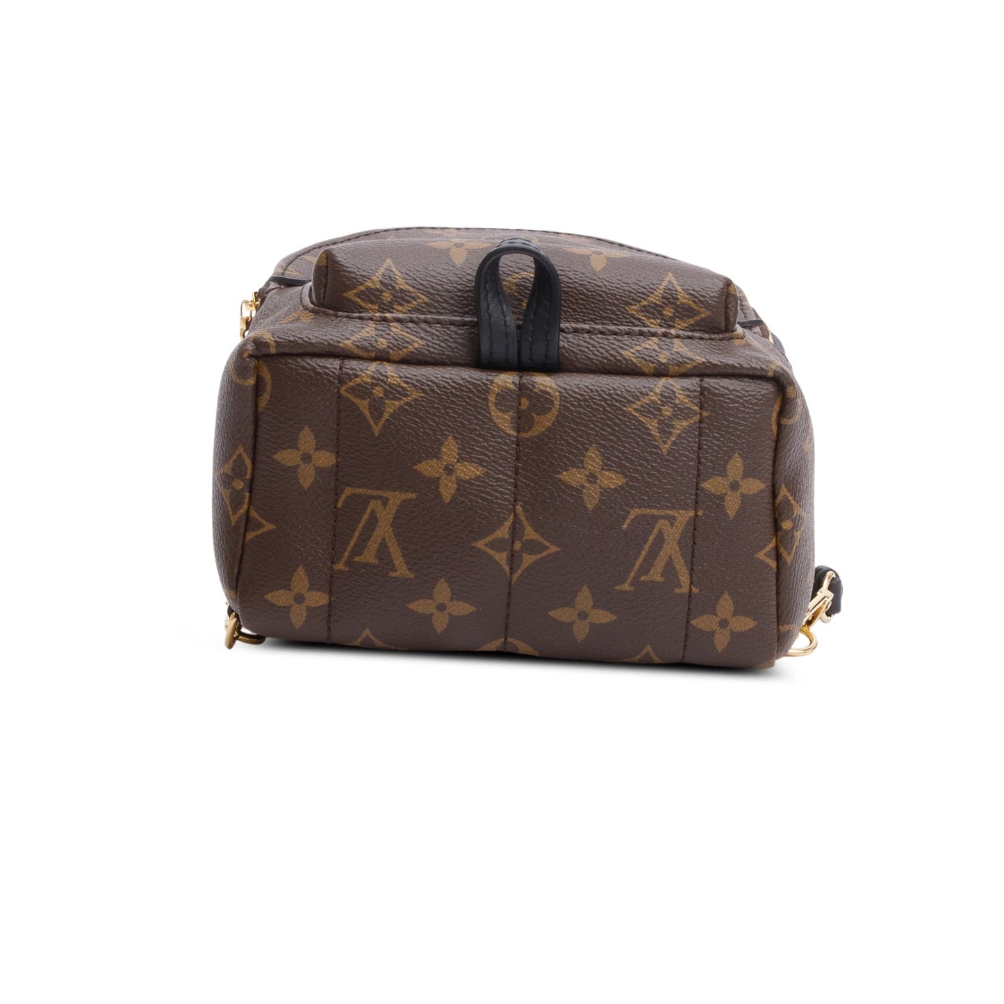 Louis Vuitton 2022 Monogram Palm Springs Mini Backpack