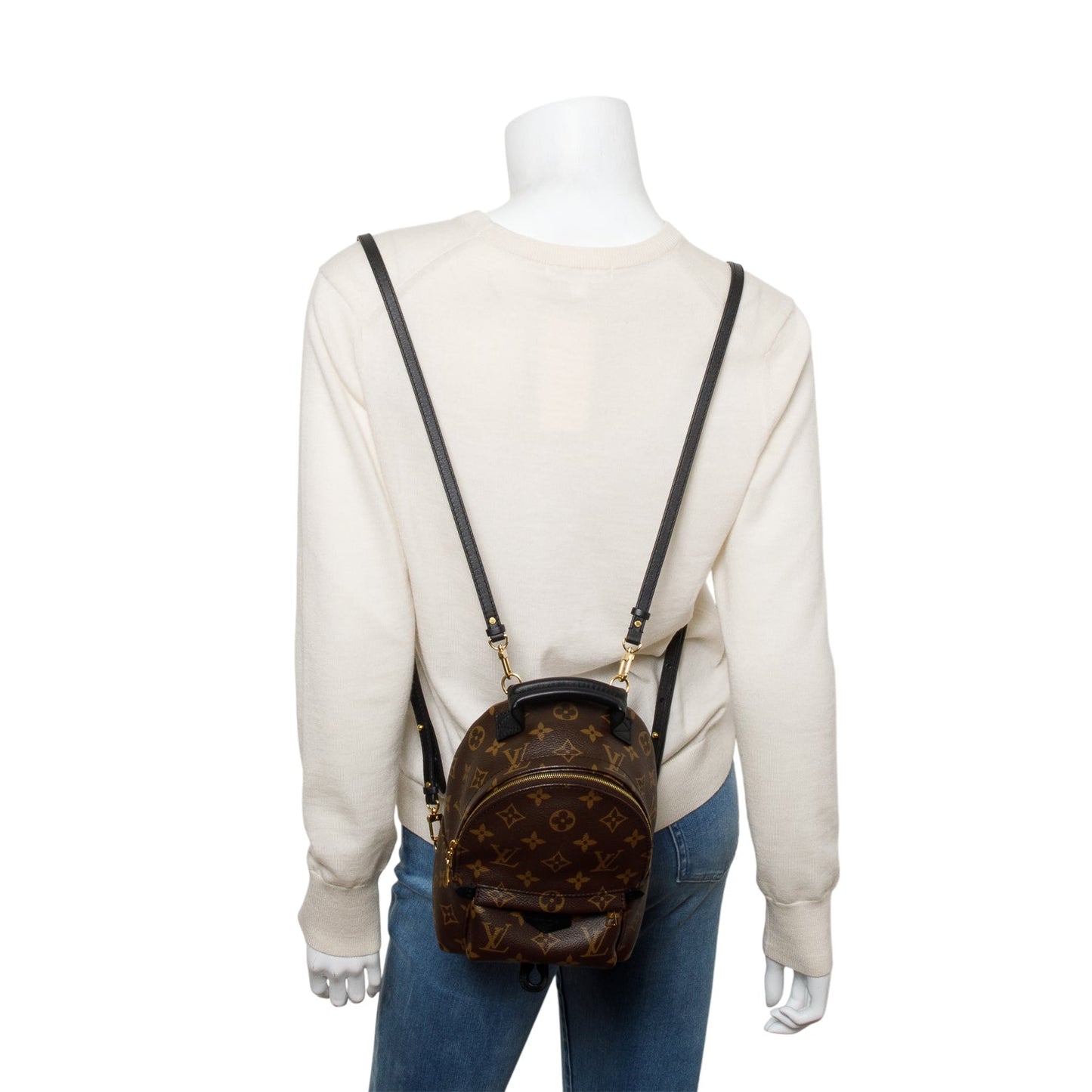 Louis Vuitton 2022 Monogram Palm Springs Mini Backpack