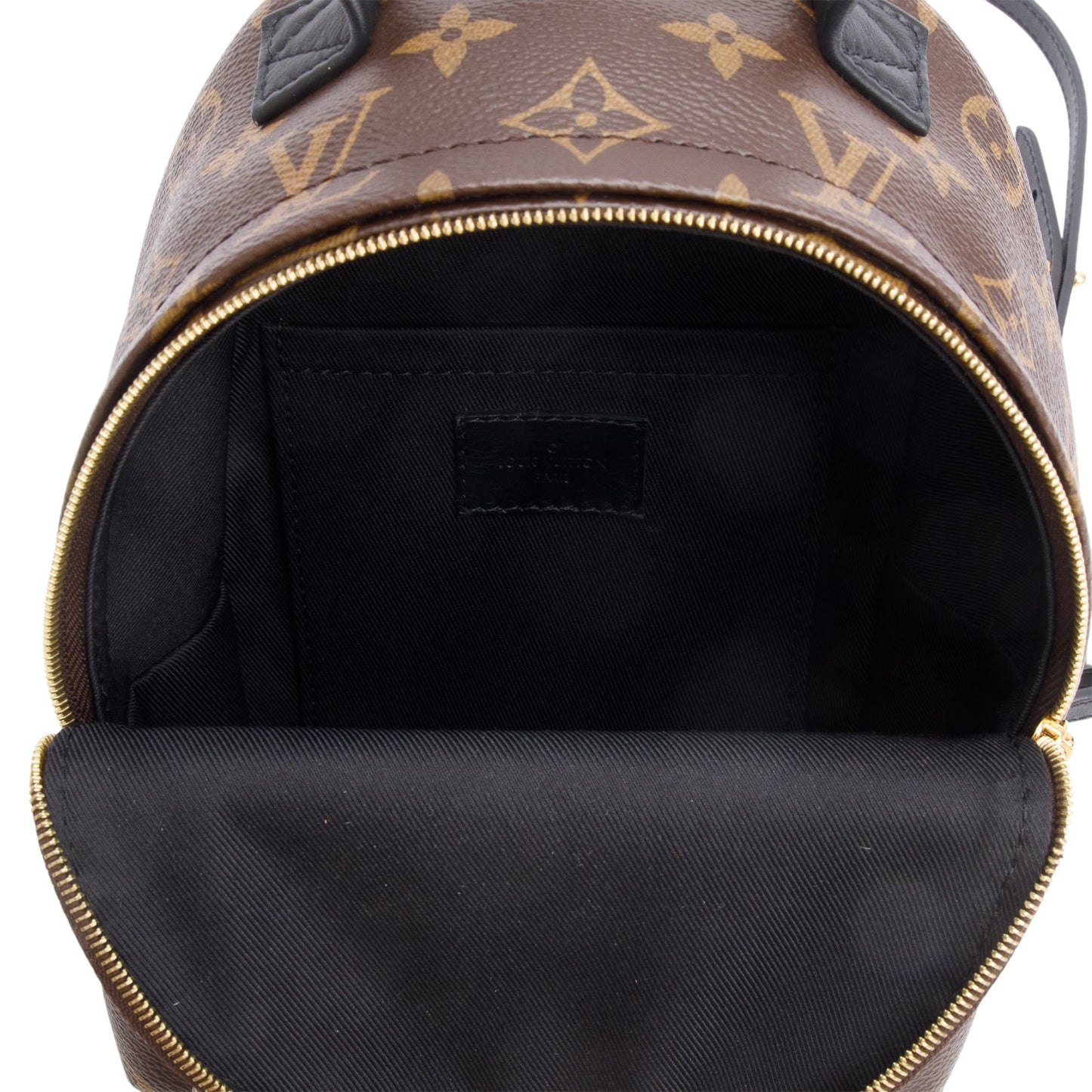 Louis Vuitton 2022 Monogram Palm Springs Mini Backpack