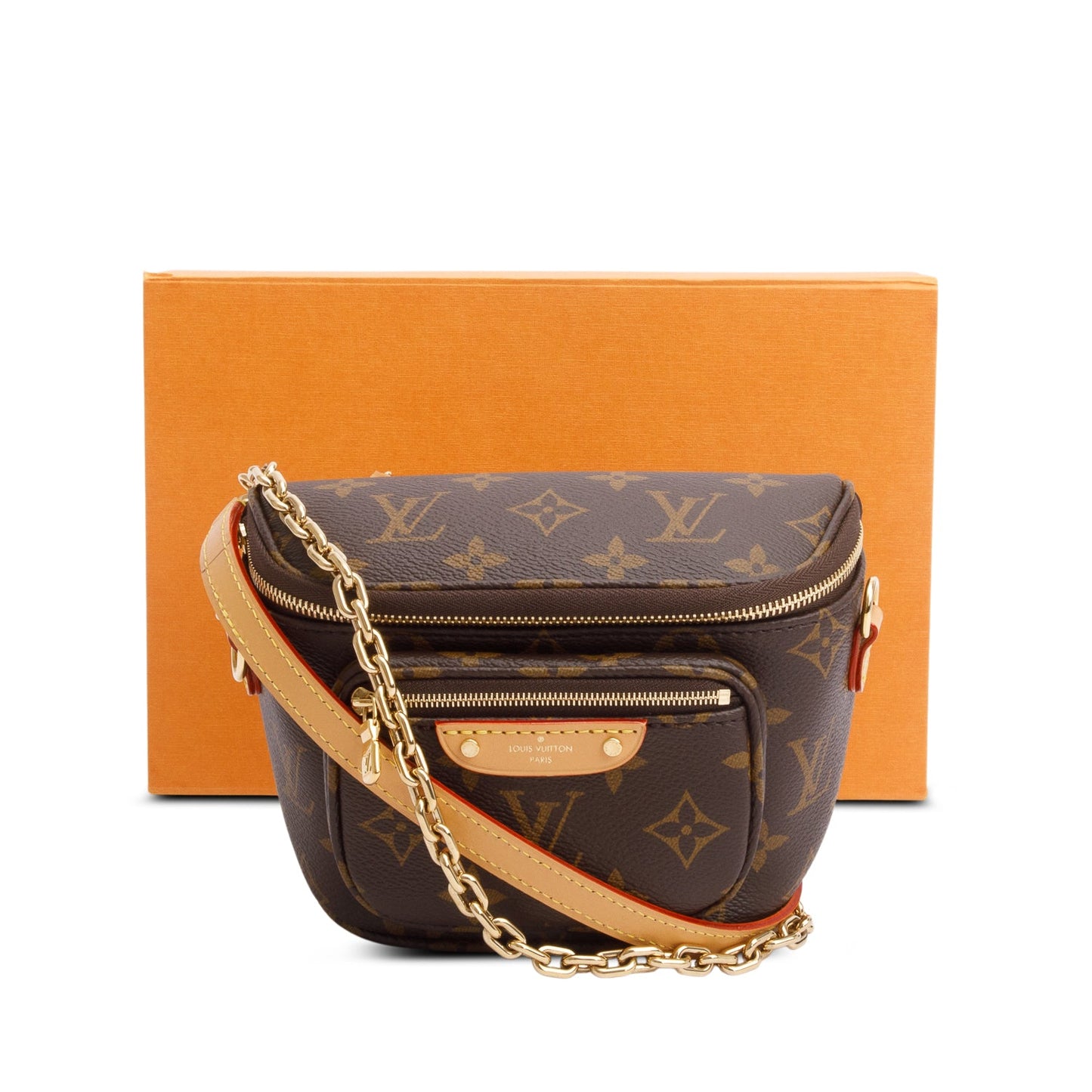 Louis Vuitton Monogram Mini Bumbag