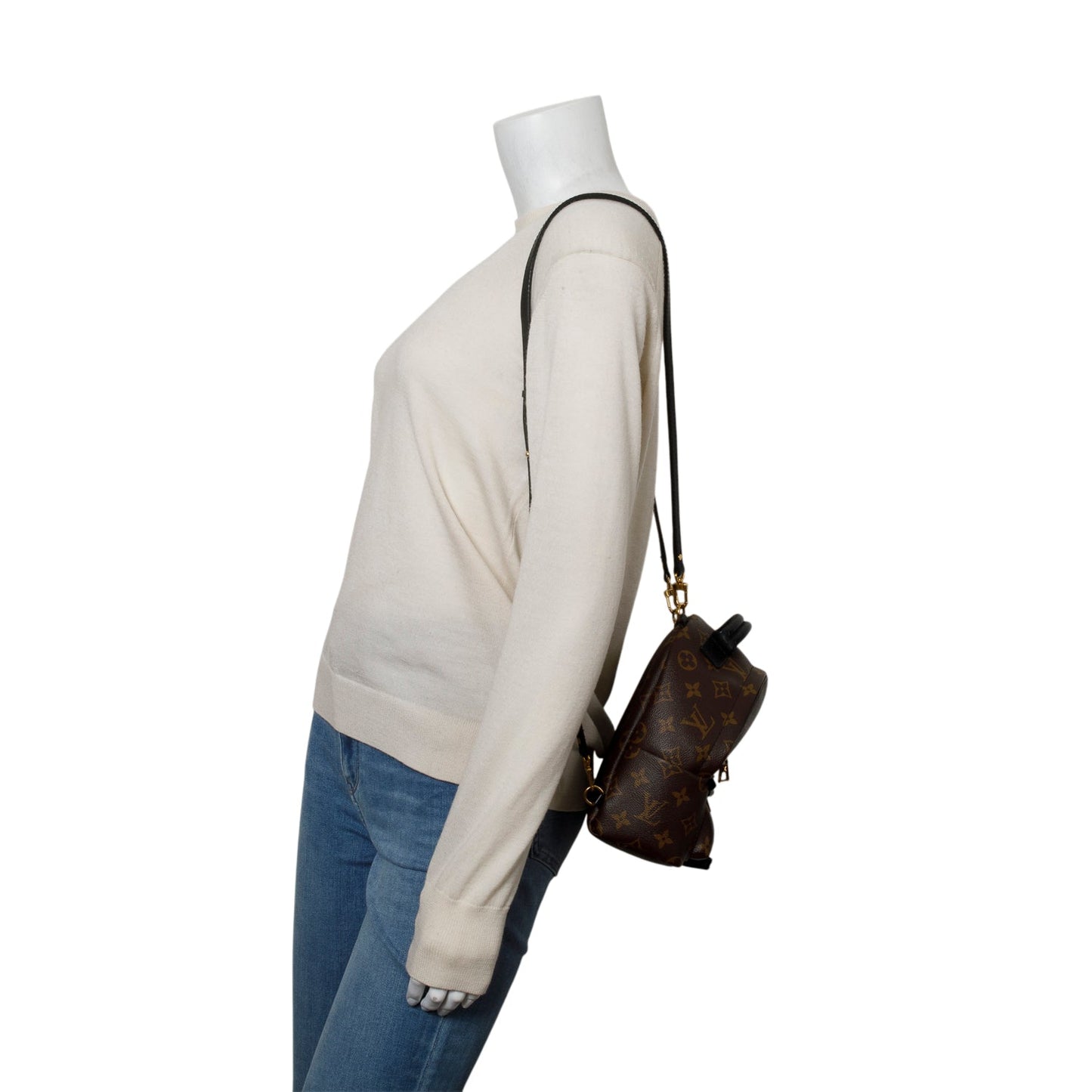 Louis Vuitton Monogram Palm Springs Mini Backpack