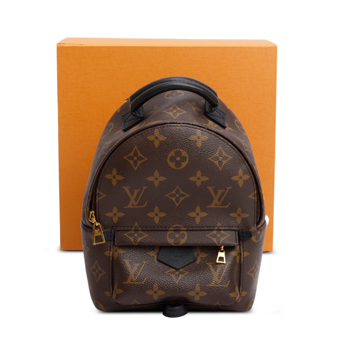 Louis Vuitton Monogram Palm Springs Mini Backpack