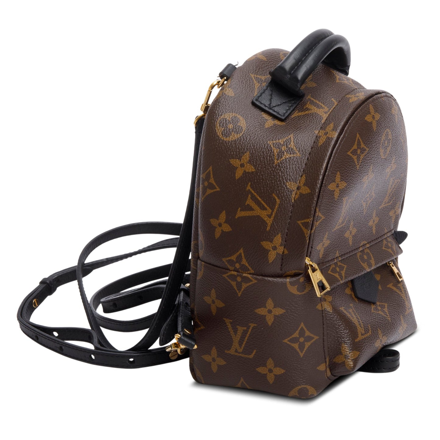 Louis Vuitton Monogram Palm Springs Mini Backpack