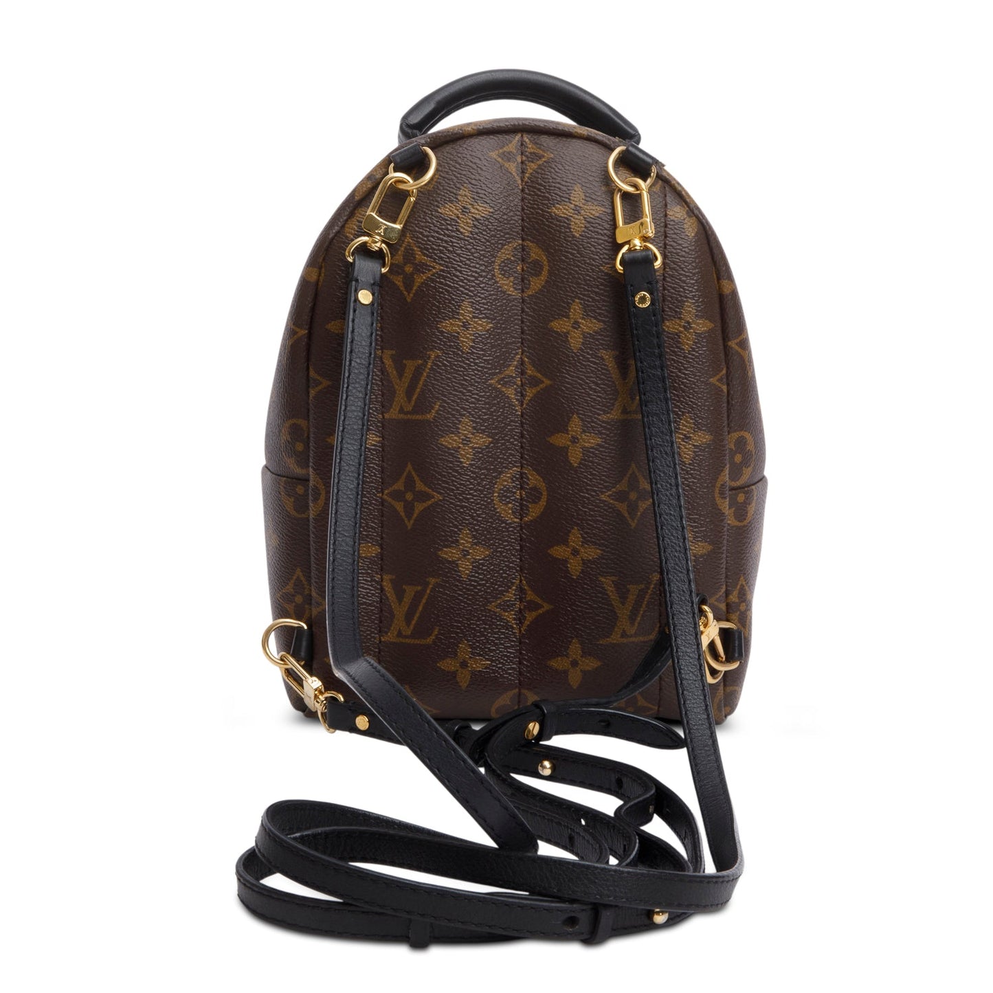Louis Vuitton Monogram Palm Springs Mini Backpack