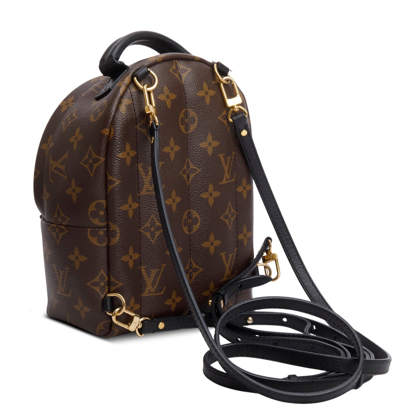 Louis Vuitton Monogram Palm Springs Mini Backpack