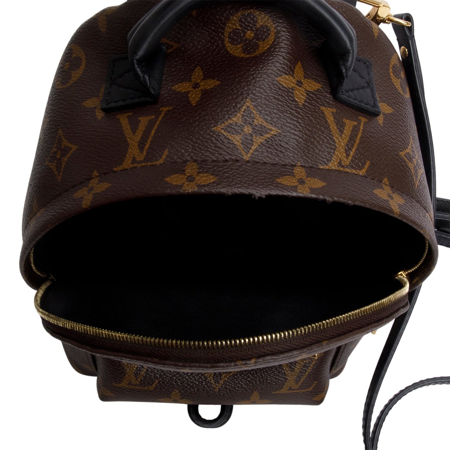 Louis Vuitton Monogram Palm Springs Mini Backpack