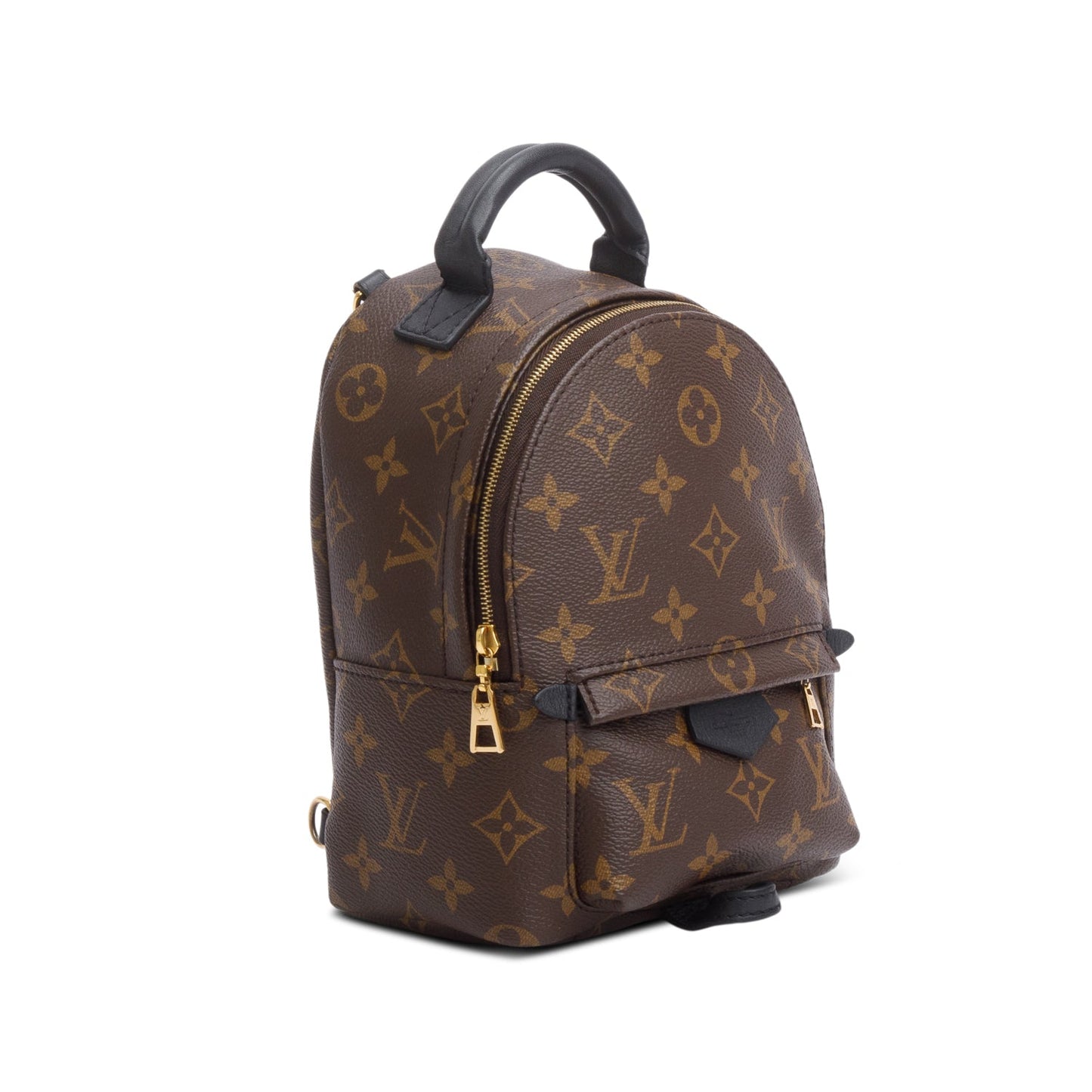 Louis Vuitton 2020 Monogram Palm Springs Mini Backpack