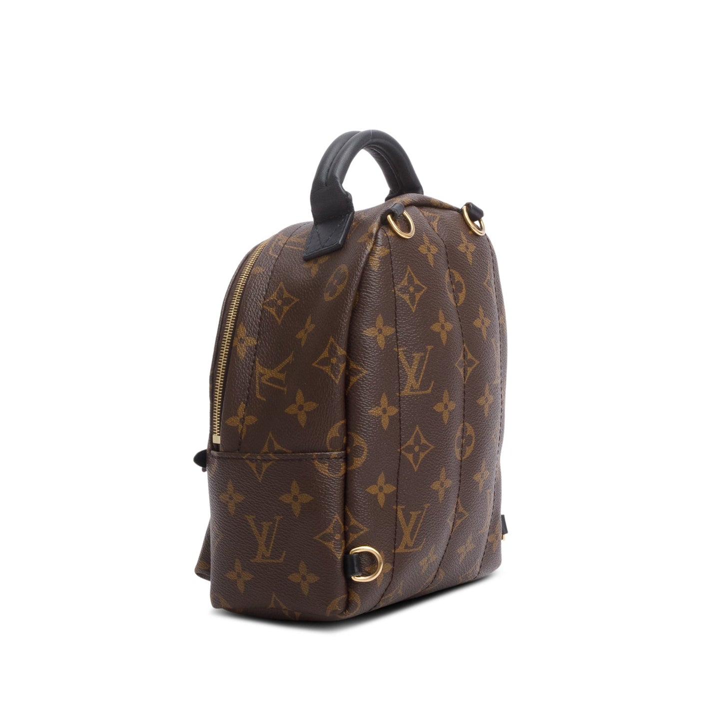 Louis Vuitton 2020 Monogram Palm Springs Mini Backpack