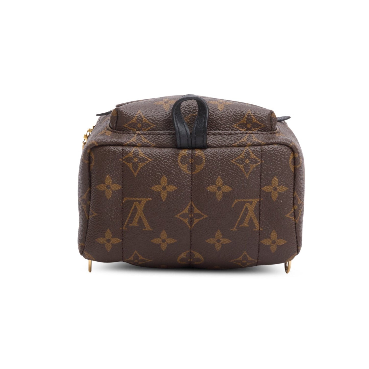Louis Vuitton 2020 Monogram Palm Springs Mini Backpack