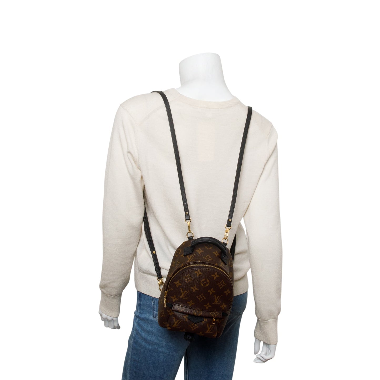 Louis Vuitton 2020 Monogram Palm Springs Mini Backpack