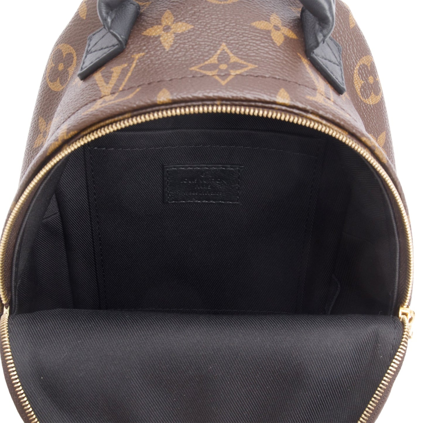 Louis Vuitton 2020 Monogram Palm Springs Mini Backpack