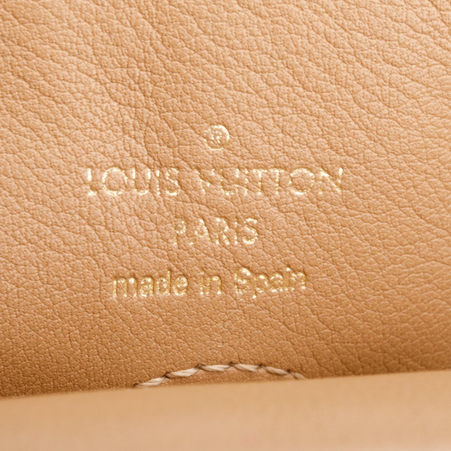 Louis Vuitton Monogram Tuileries Hobo
