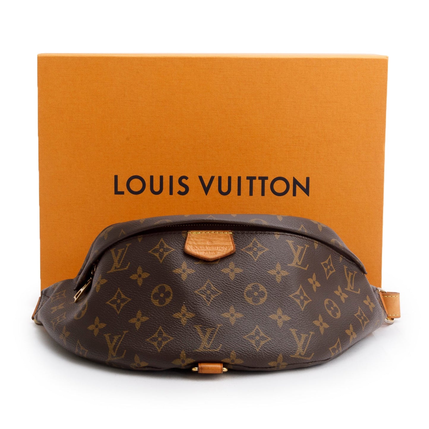 Louis Vuitton Monogram Bumbag
