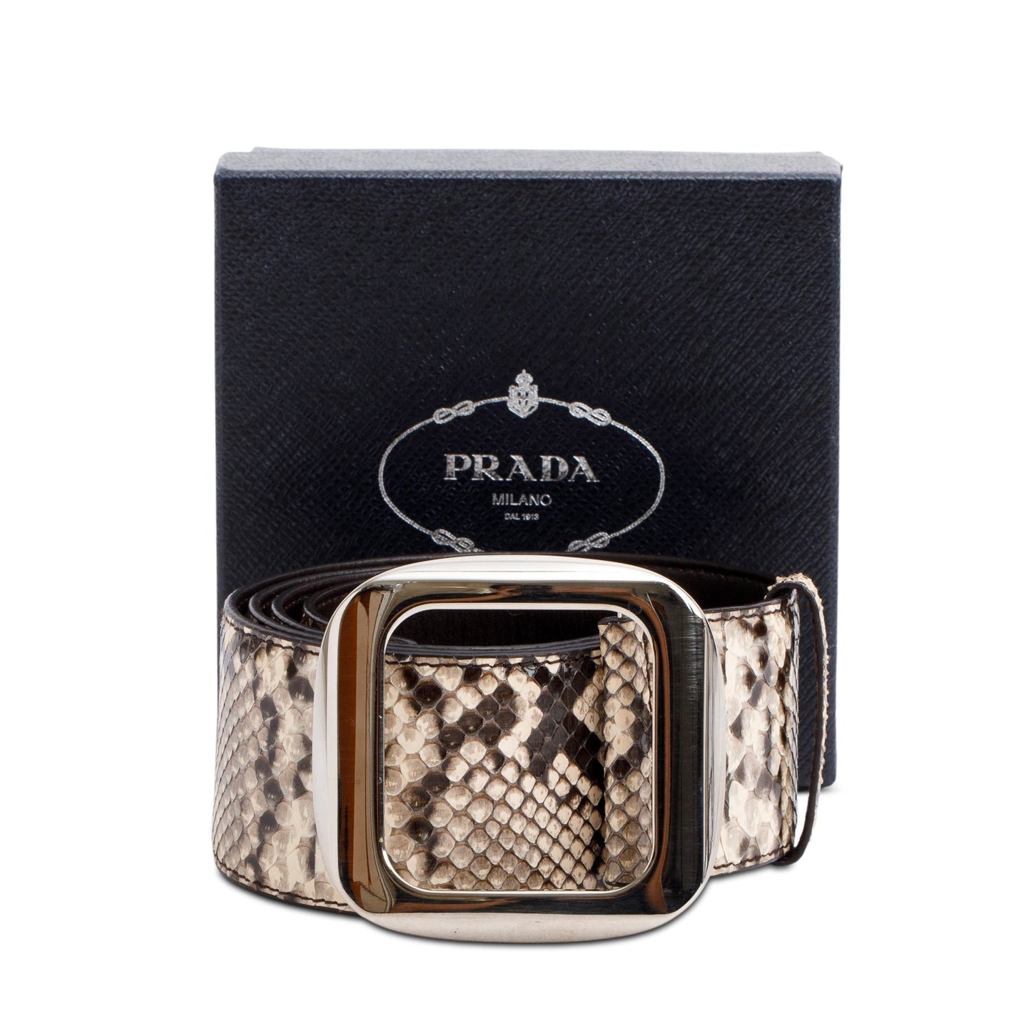 Prada Snakeskin Square Buckle Wide Belt 90 36