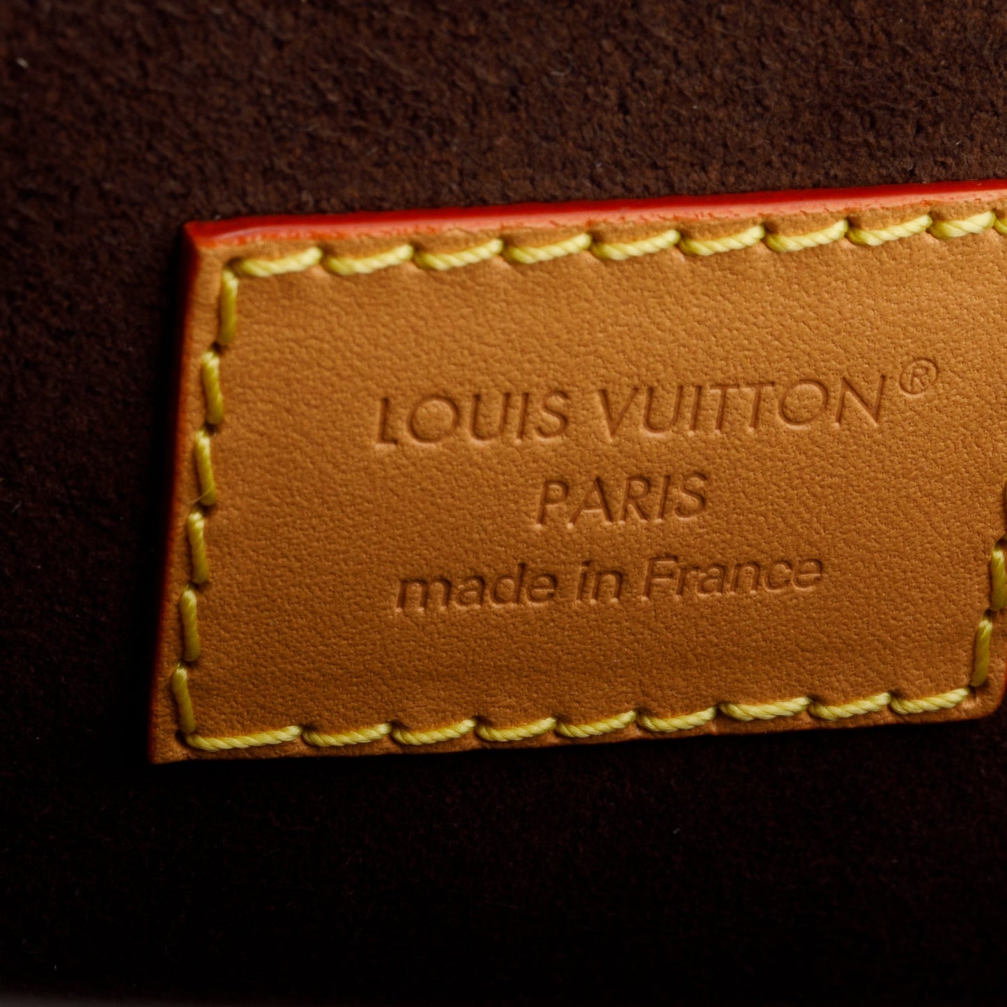 Louis Vuitton Monogram Pochette Camille