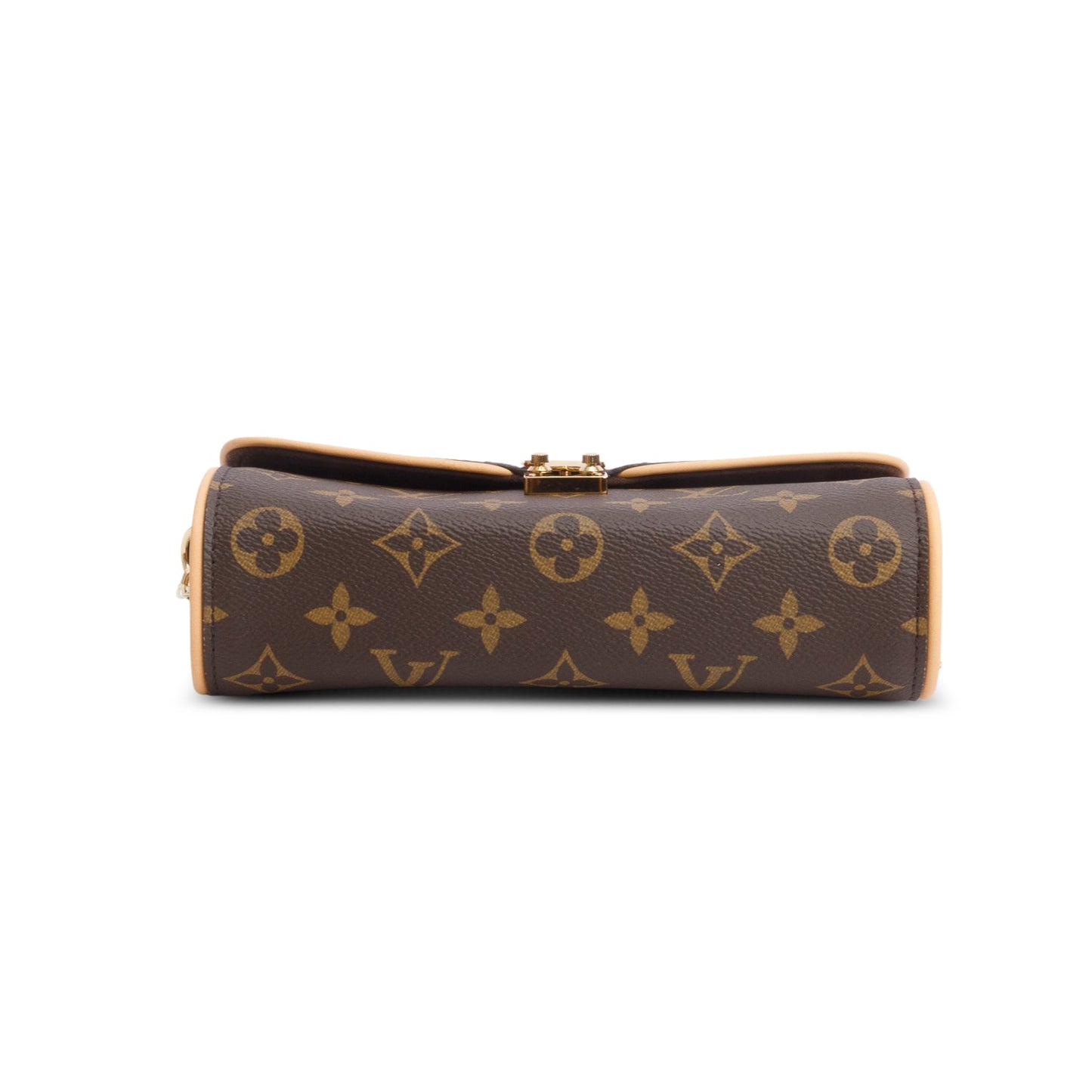 Louis Vuitton Monogram Pochette Camille