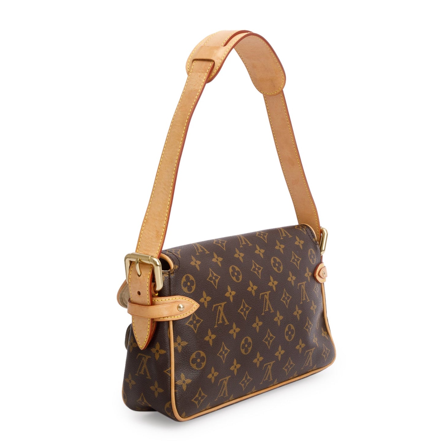 Louis Vuitton Monogram Hudson PM