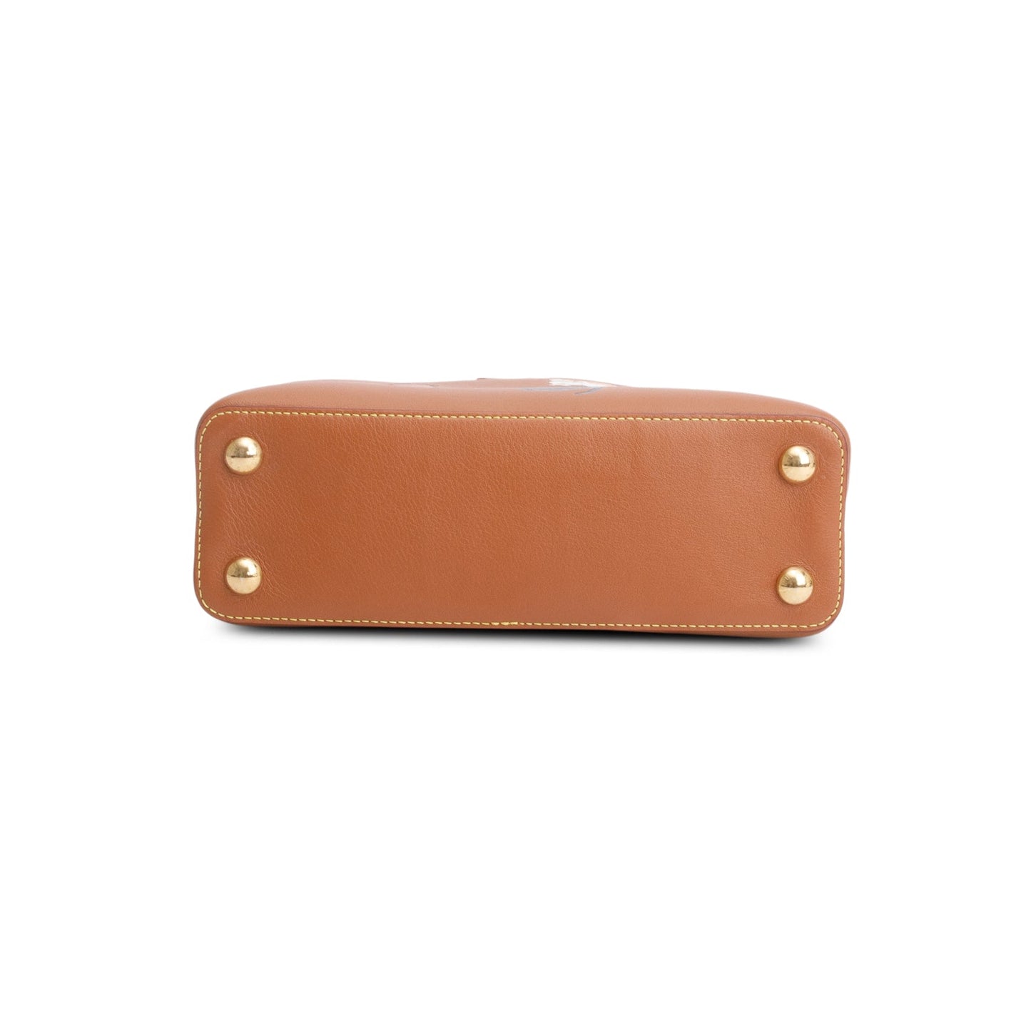 Louis Vuitton Brown Calfskin Catogram Capucines BB