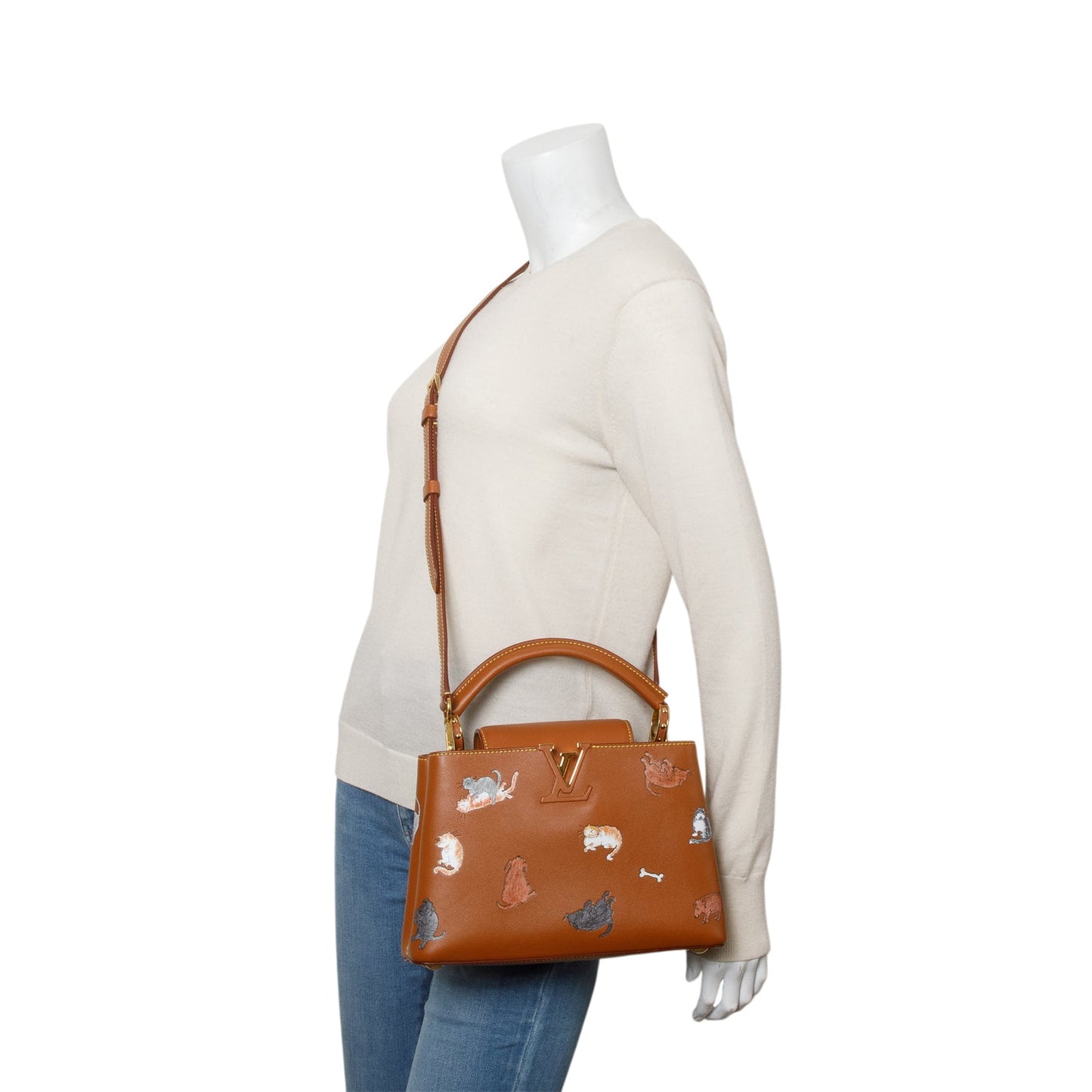 Louis Vuitton Brown Calfskin Catogram Capucines BB