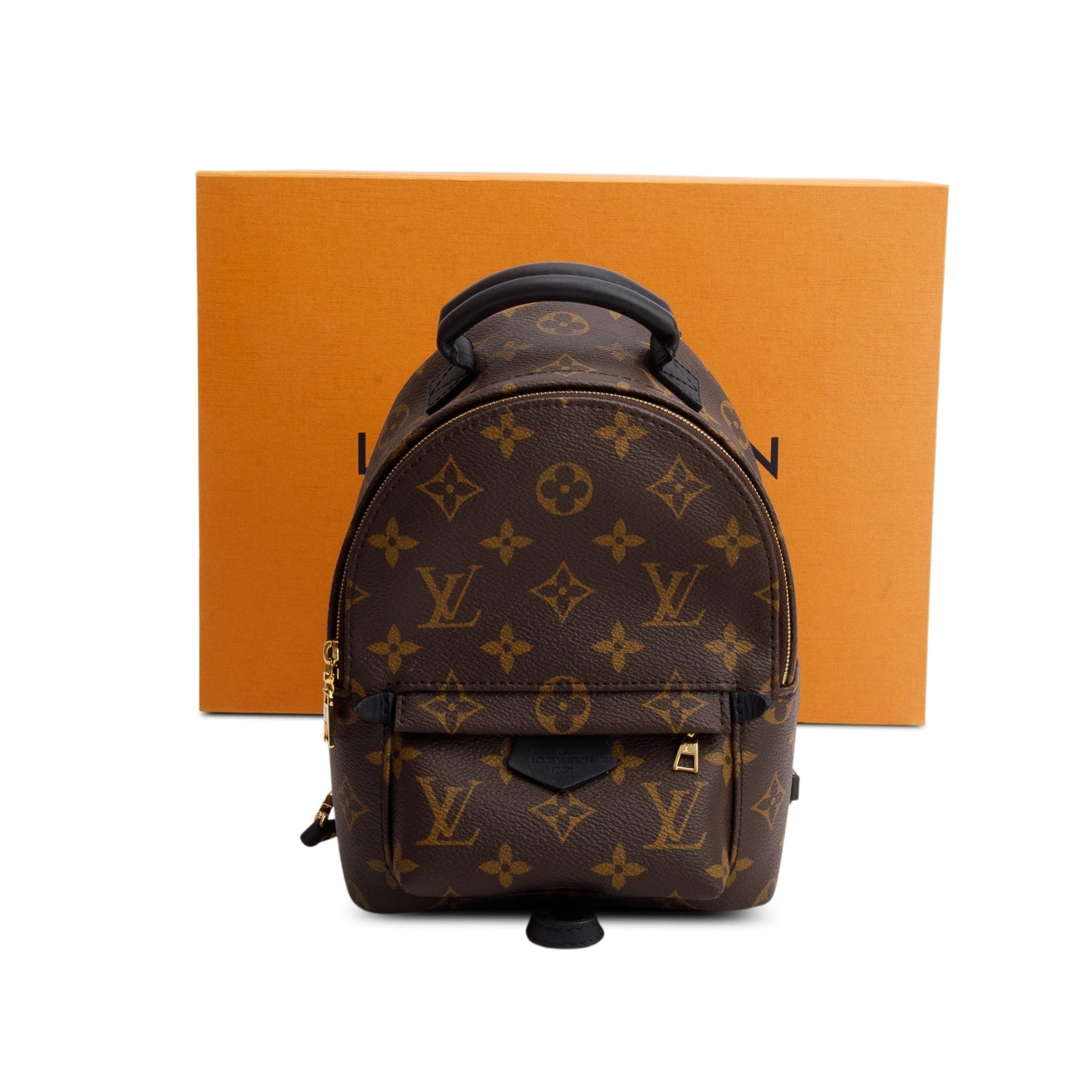 Louis Vuitton 2021 Monogram Palm Springs Mini Backpack