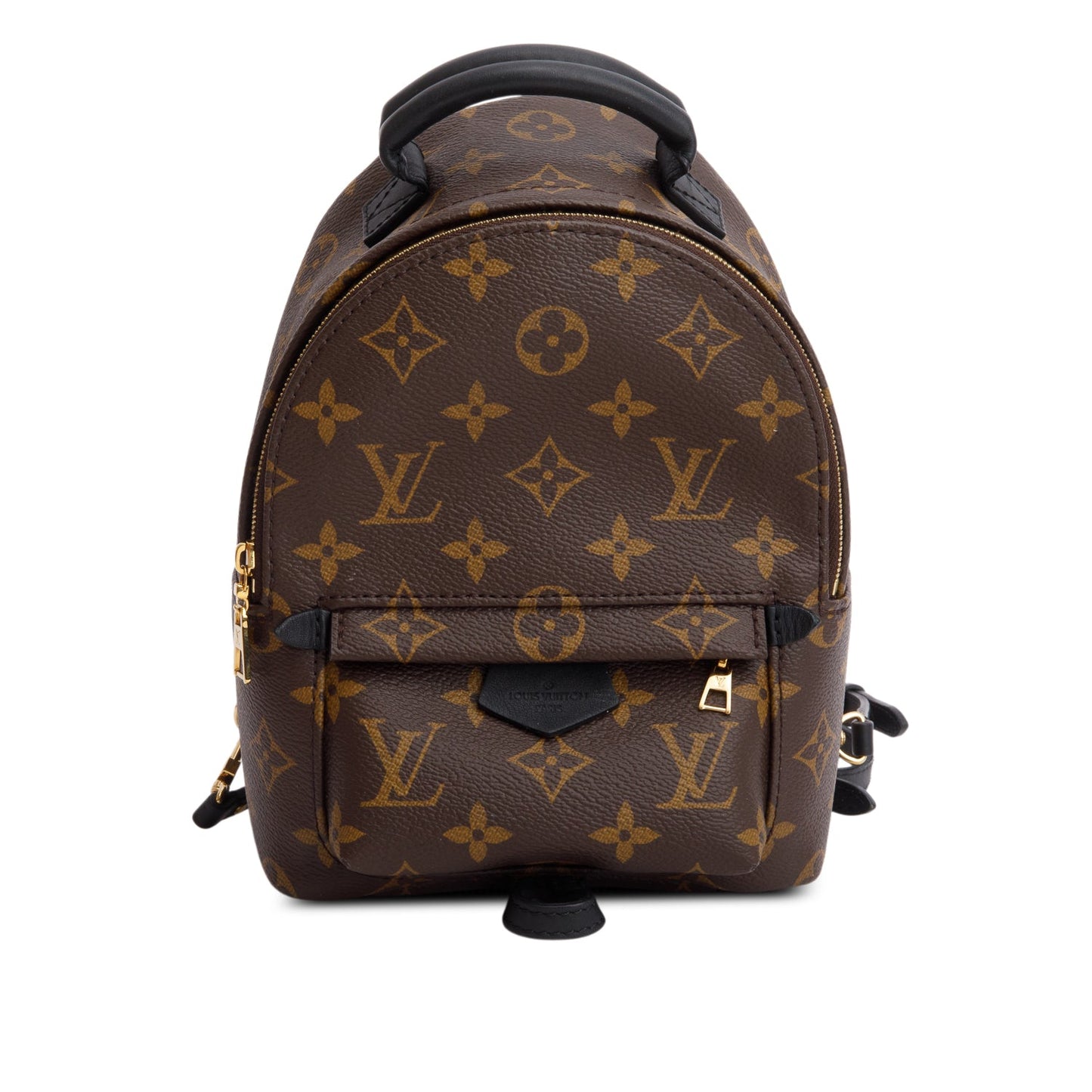 Louis Vuitton 2021 Monogram Palm Springs Mini Backpack