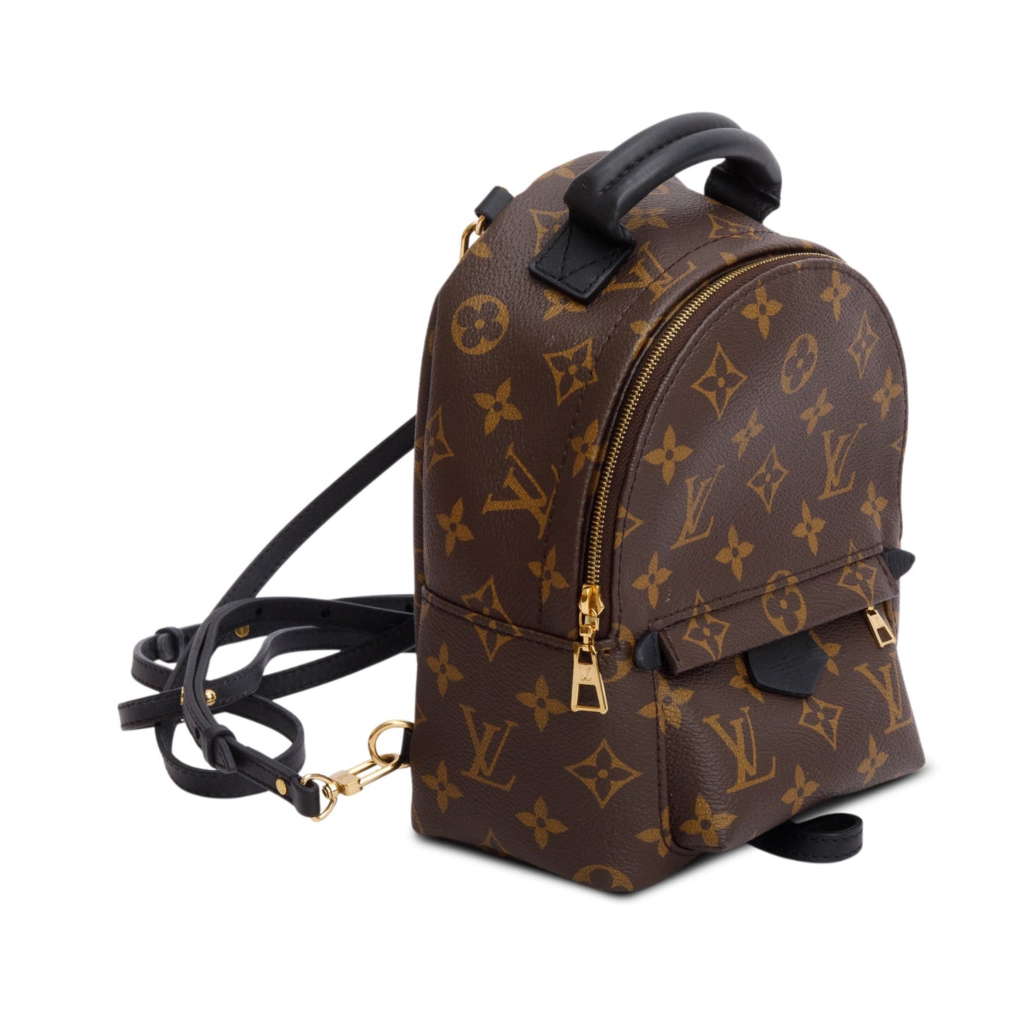 Louis Vuitton 2021 Monogram Palm Springs Mini Backpack
