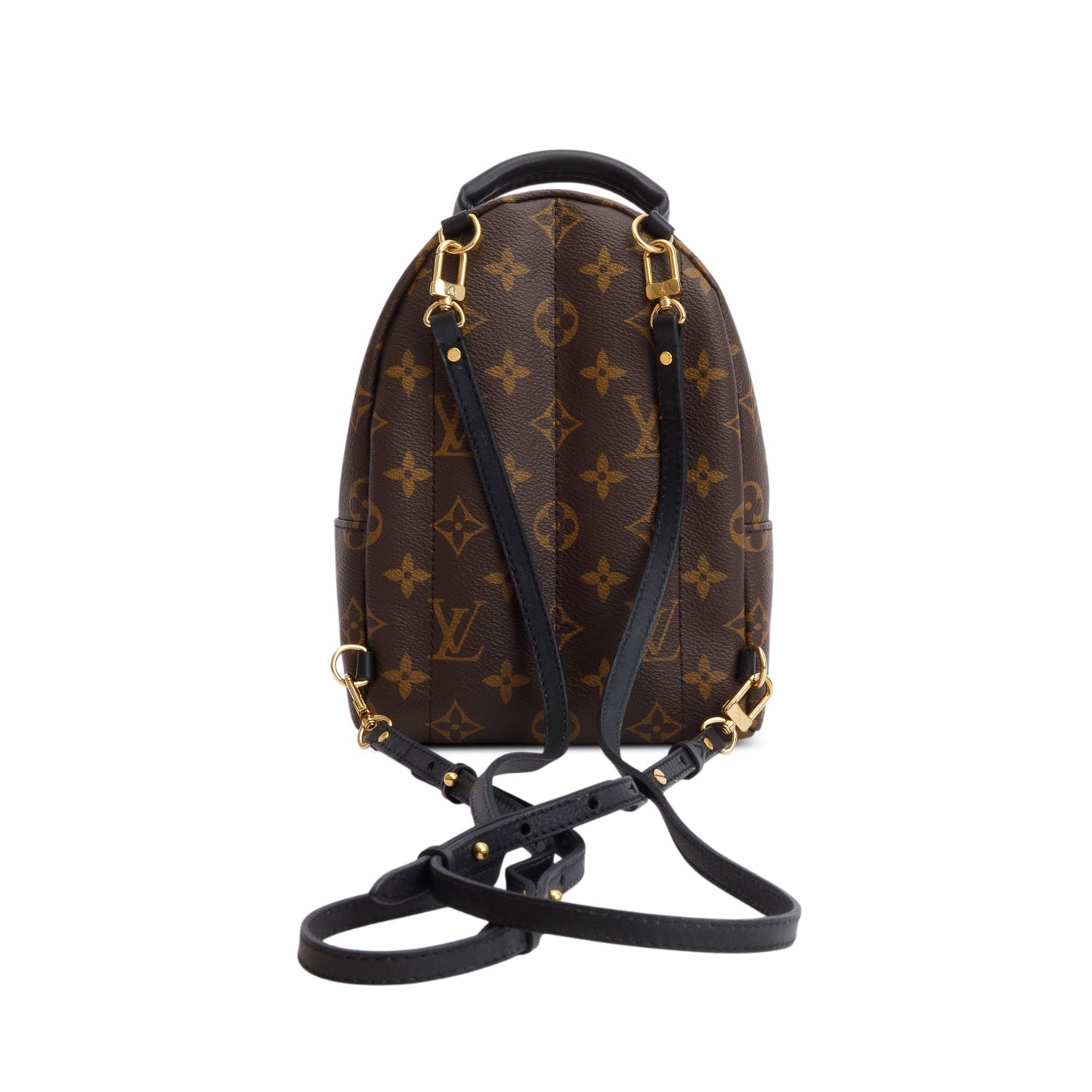 Louis Vuitton 2021 Monogram Palm Springs Mini Backpack