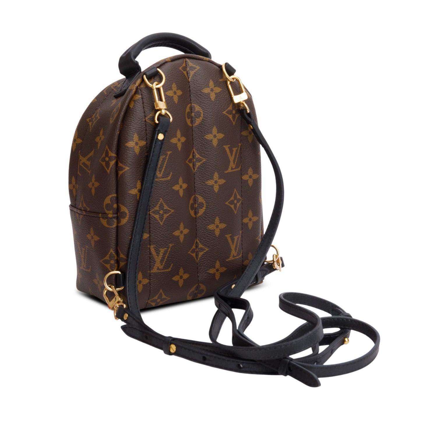 Louis Vuitton 2021 Monogram Palm Springs Mini Backpack