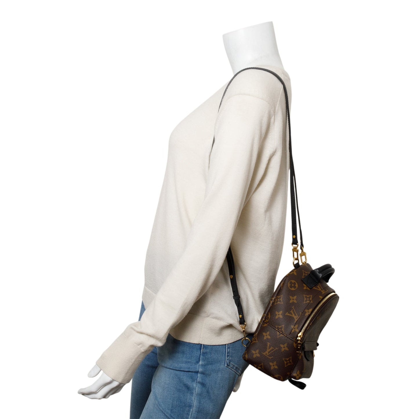 Louis Vuitton 2021 Monogram Palm Springs Mini Backpack