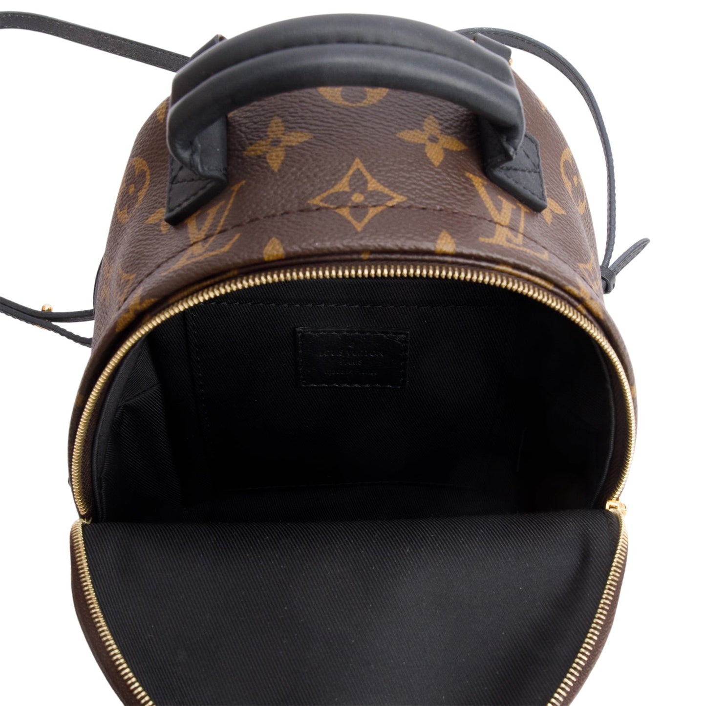 Louis Vuitton 2021 Monogram Palm Springs Mini Backpack
