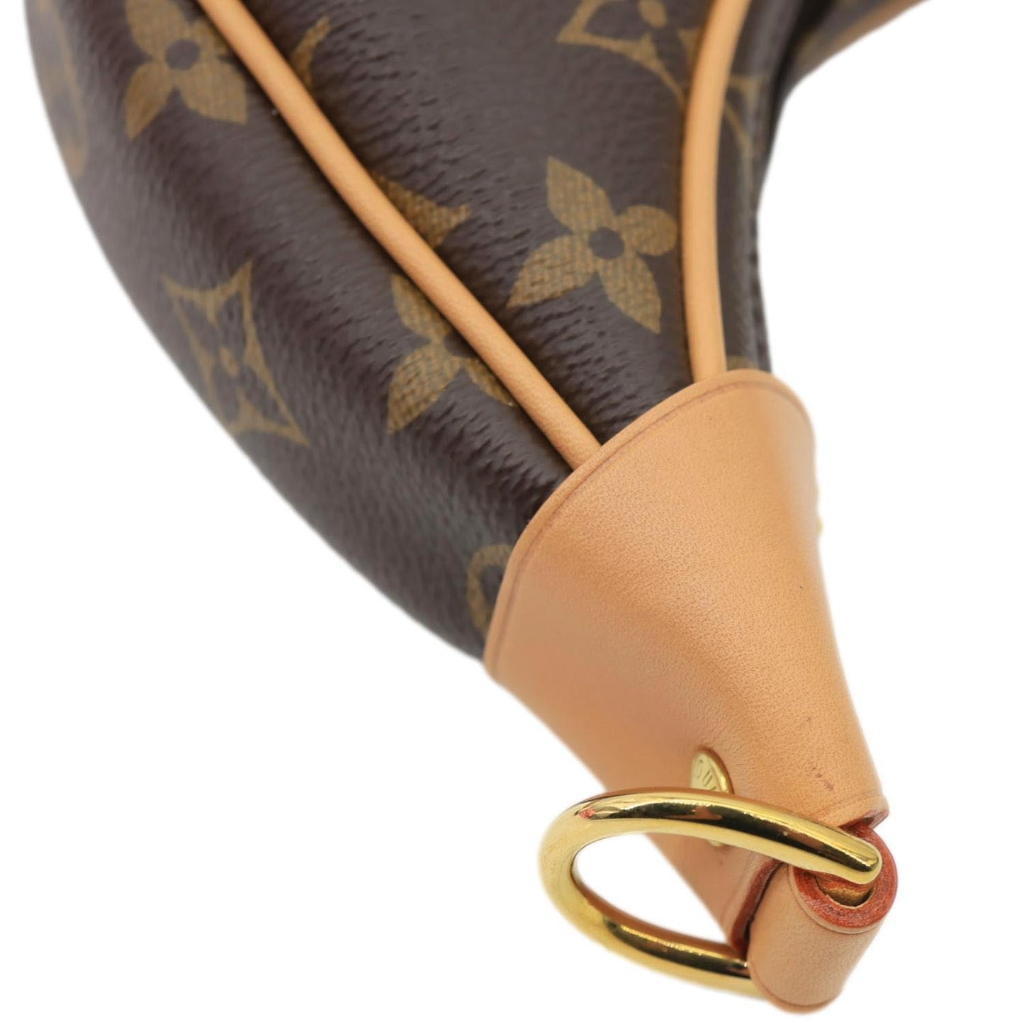 LOUIS VUITTON Loop Monogram Reverse Canvas Hobo Bag Brown