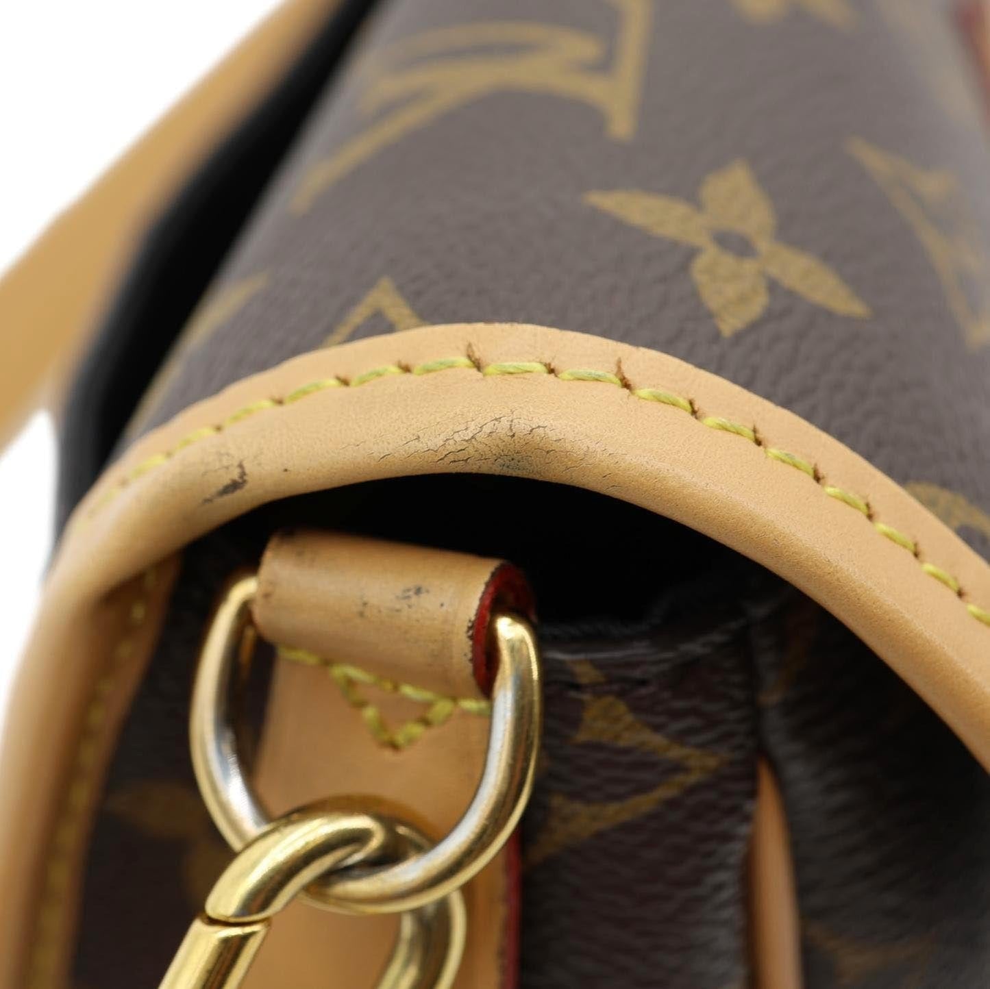 LOUIS VUITTON Diane Monogram Canvas Crossbody Bag Brown