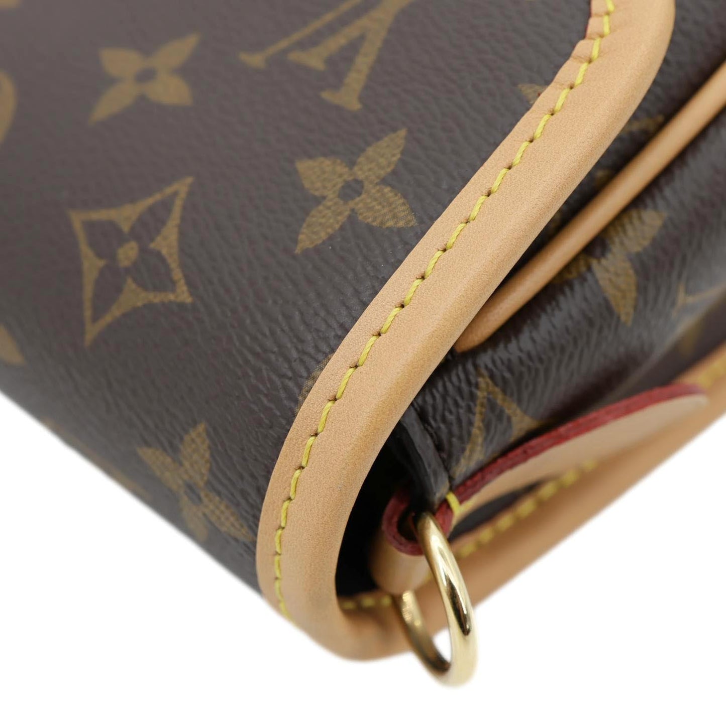 LOUIS VUITTON Diane Monogram Canvas Shoulder Bag Brown