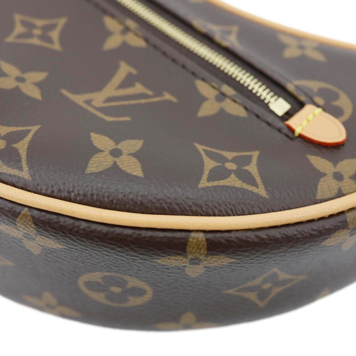 LOUIS VUITTON Loop Monogram Reverse Canvas Hobo Bag Brown