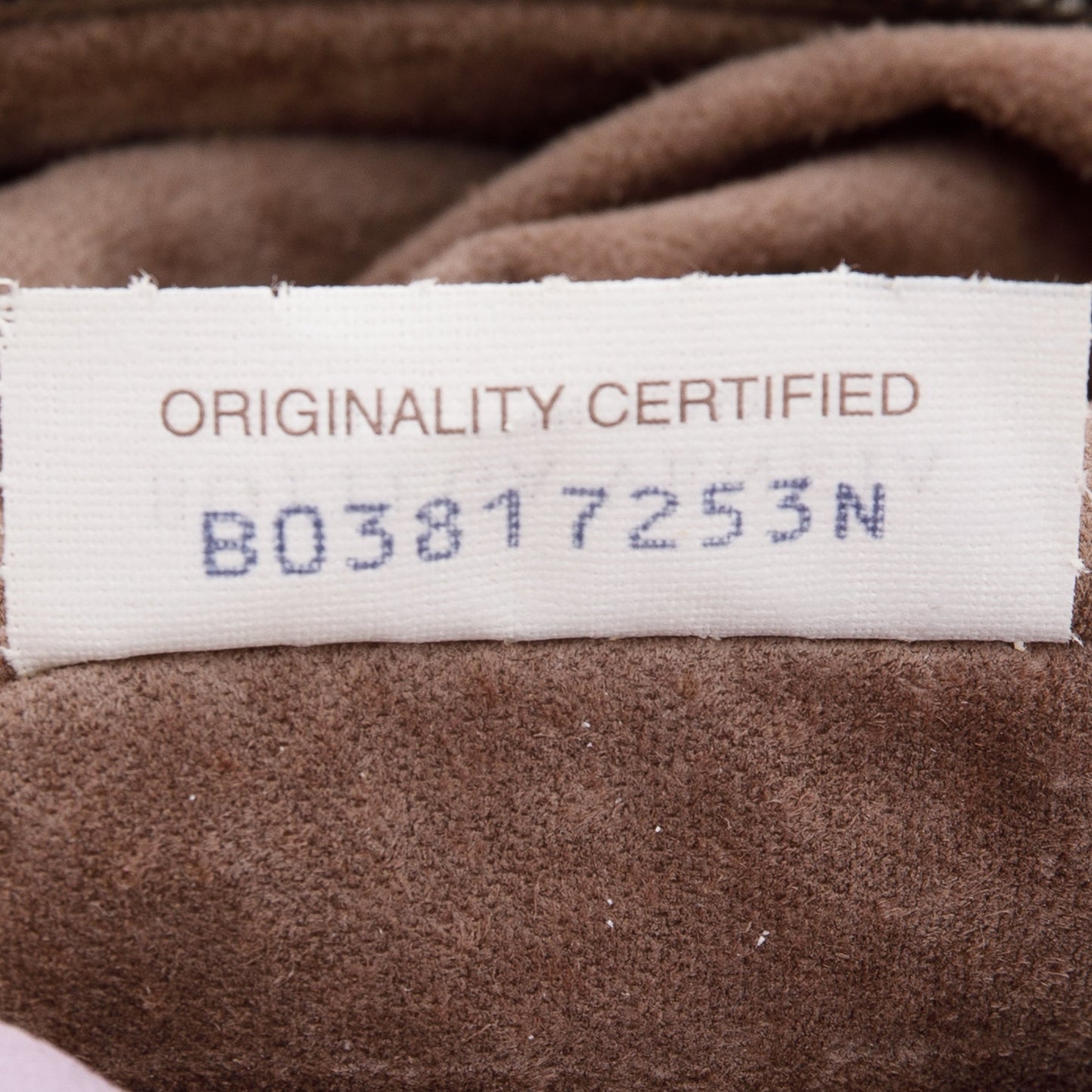 Bottega Veneta Small Intrecciato Campana Hobo Bag
