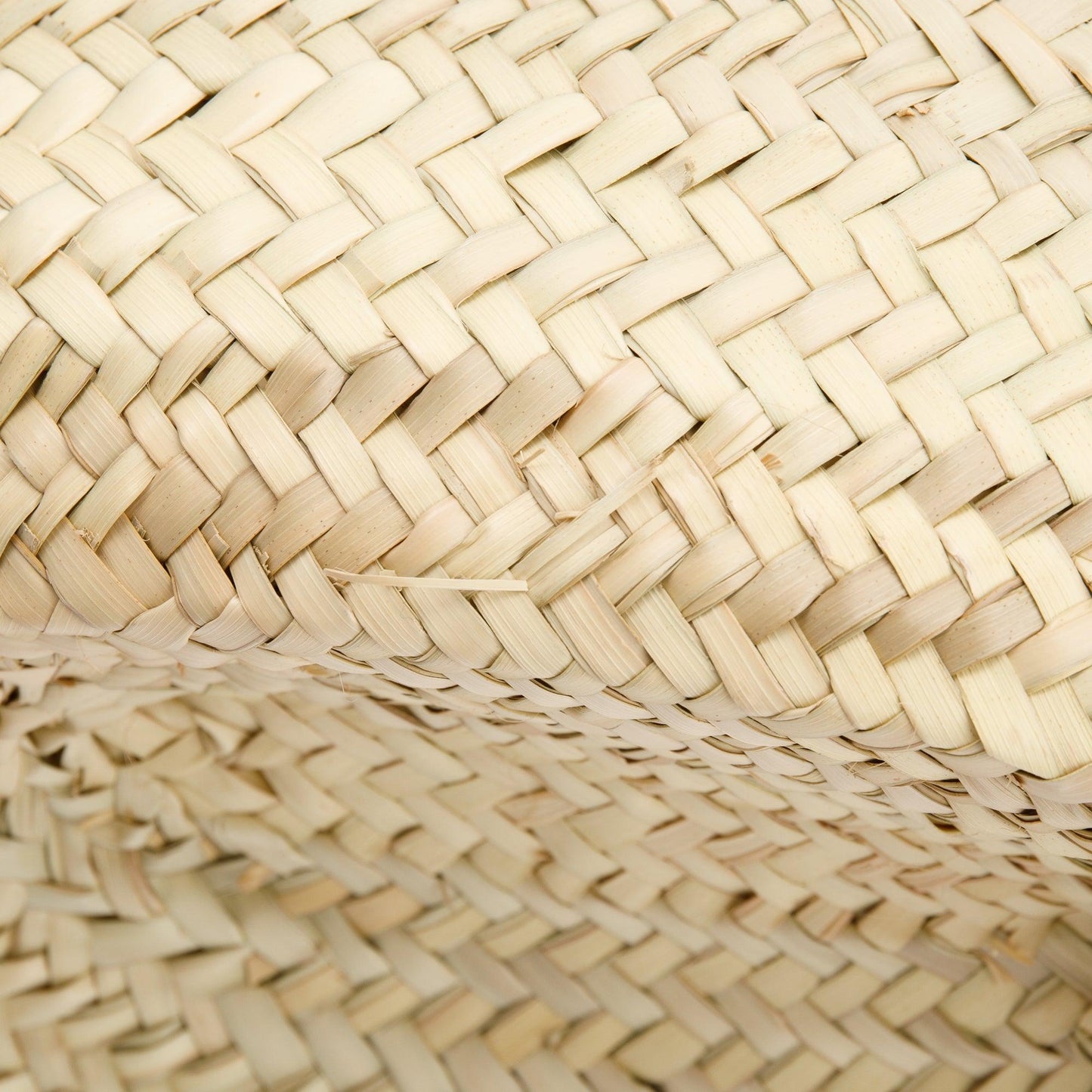 Celine 2021 Neutral Raffia Large Triomphe Panier Tote