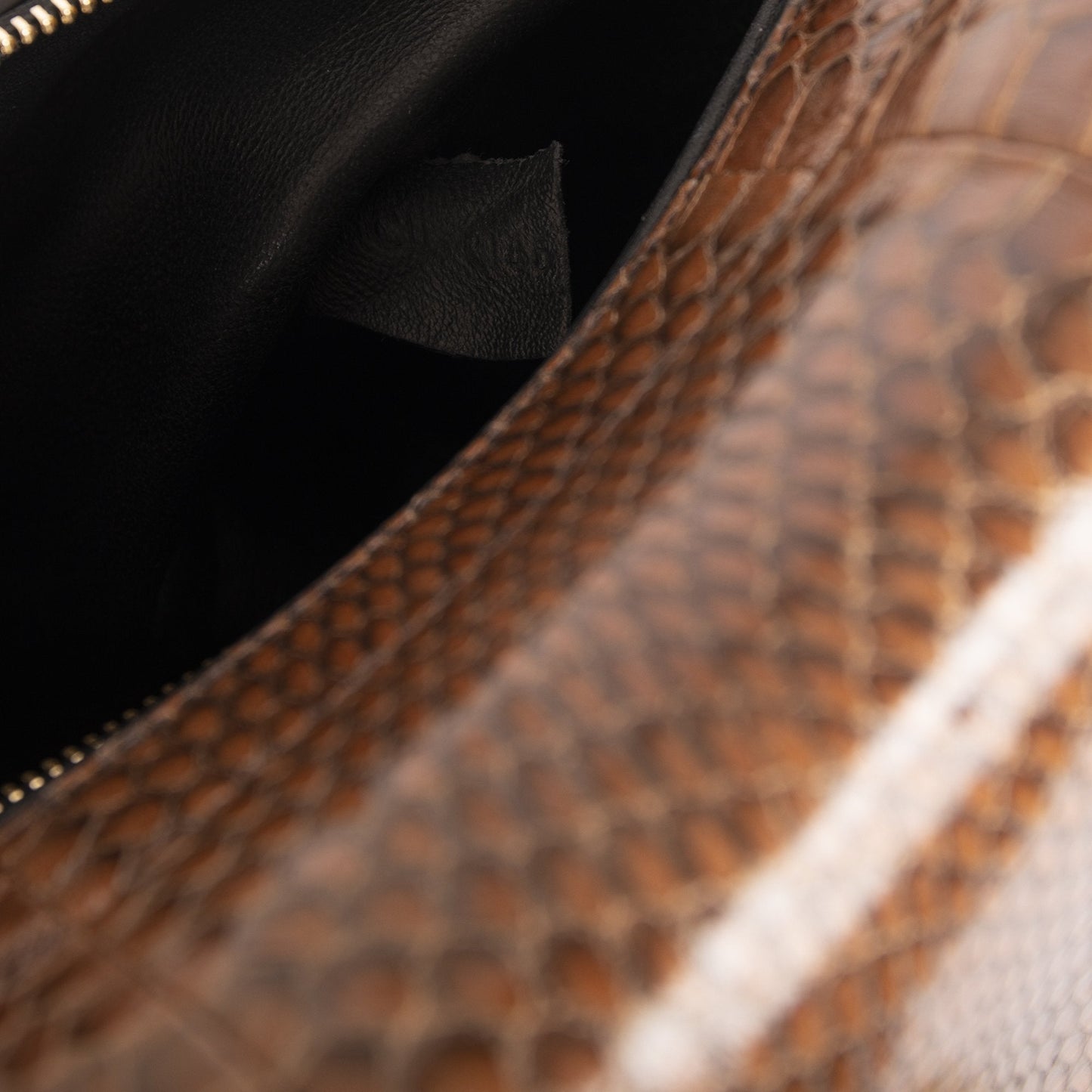 Celine Small Python Trapeze Bag