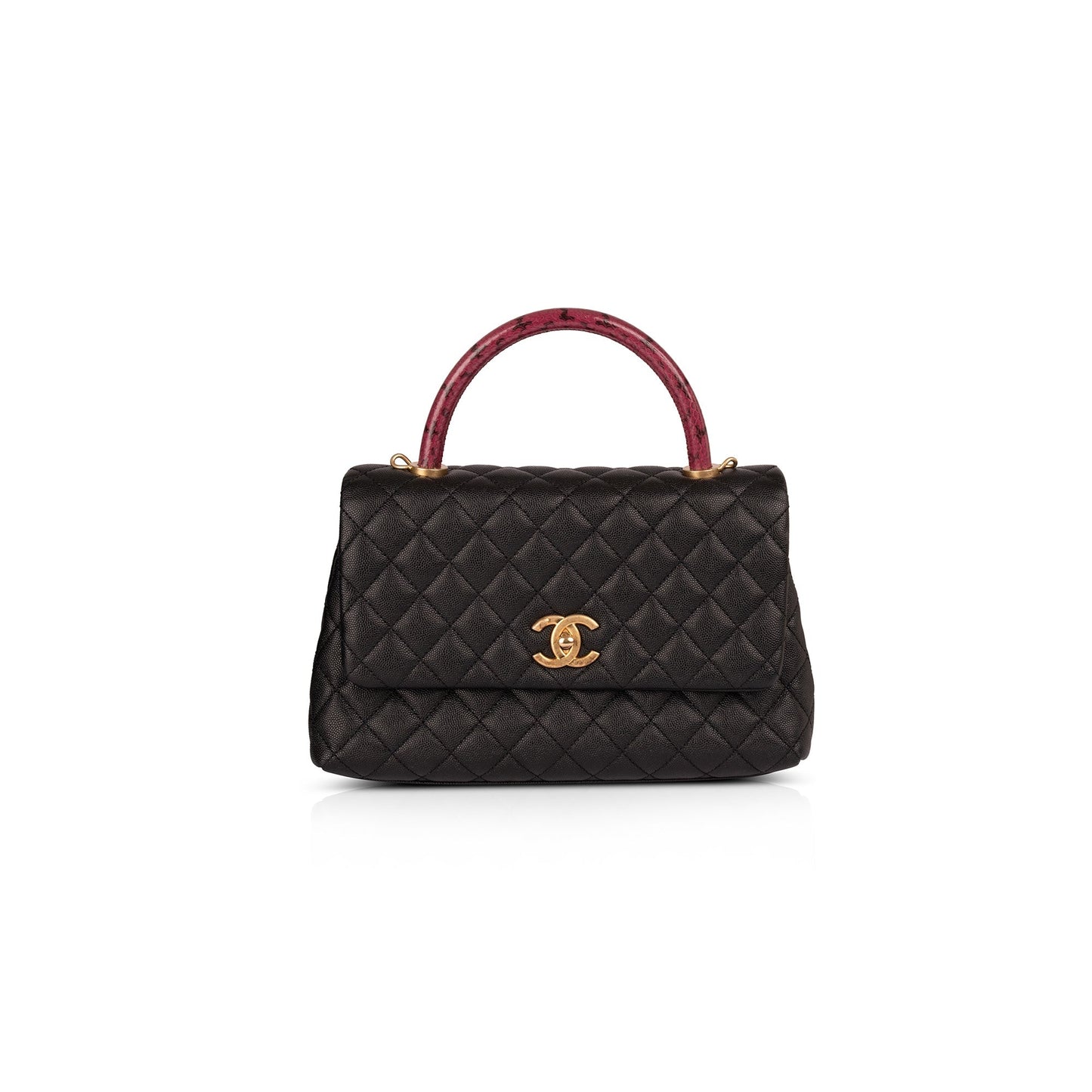 Chanel Medium Python-Trimmed Coco Handle Bag